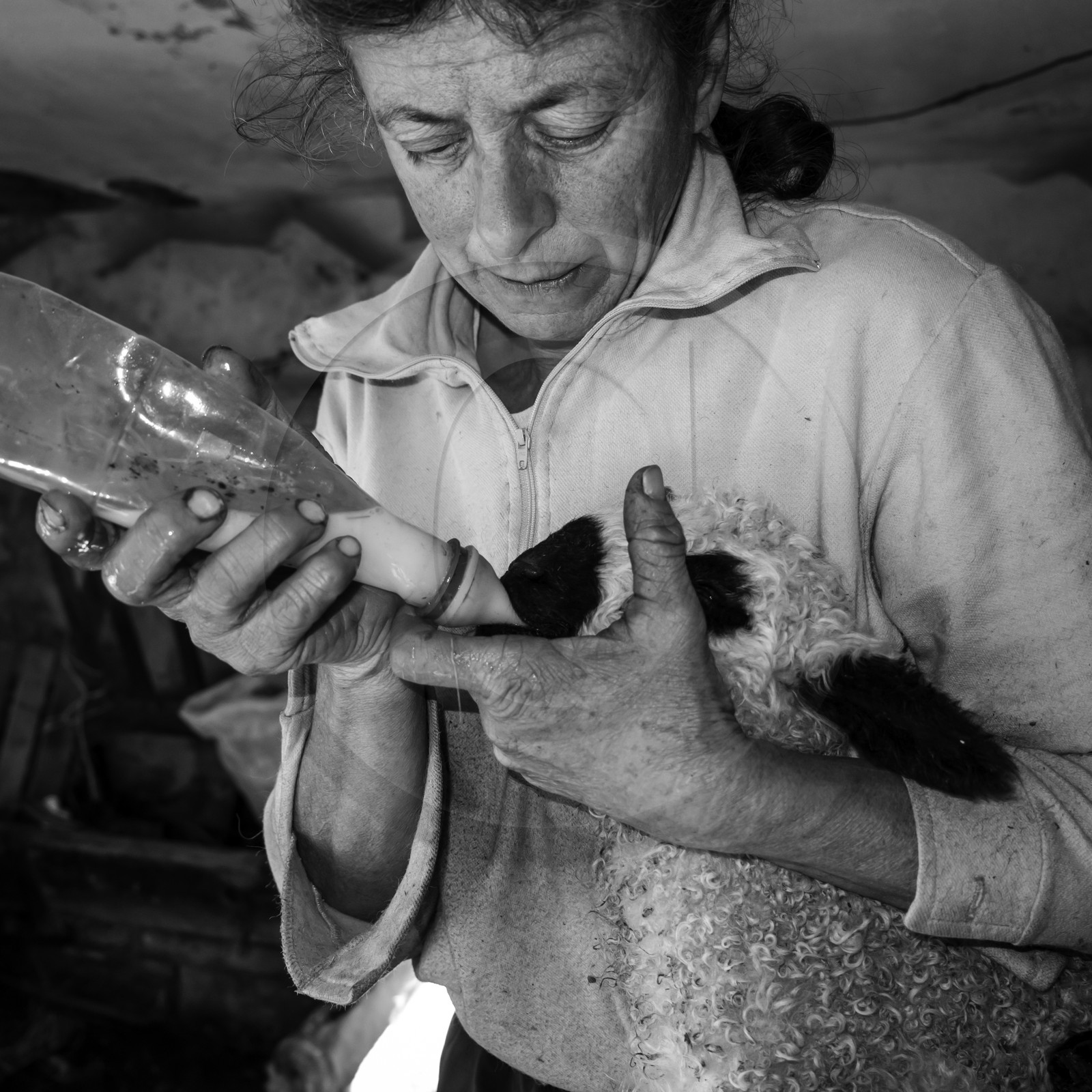 La bergerie de Michèle Soubeyrand