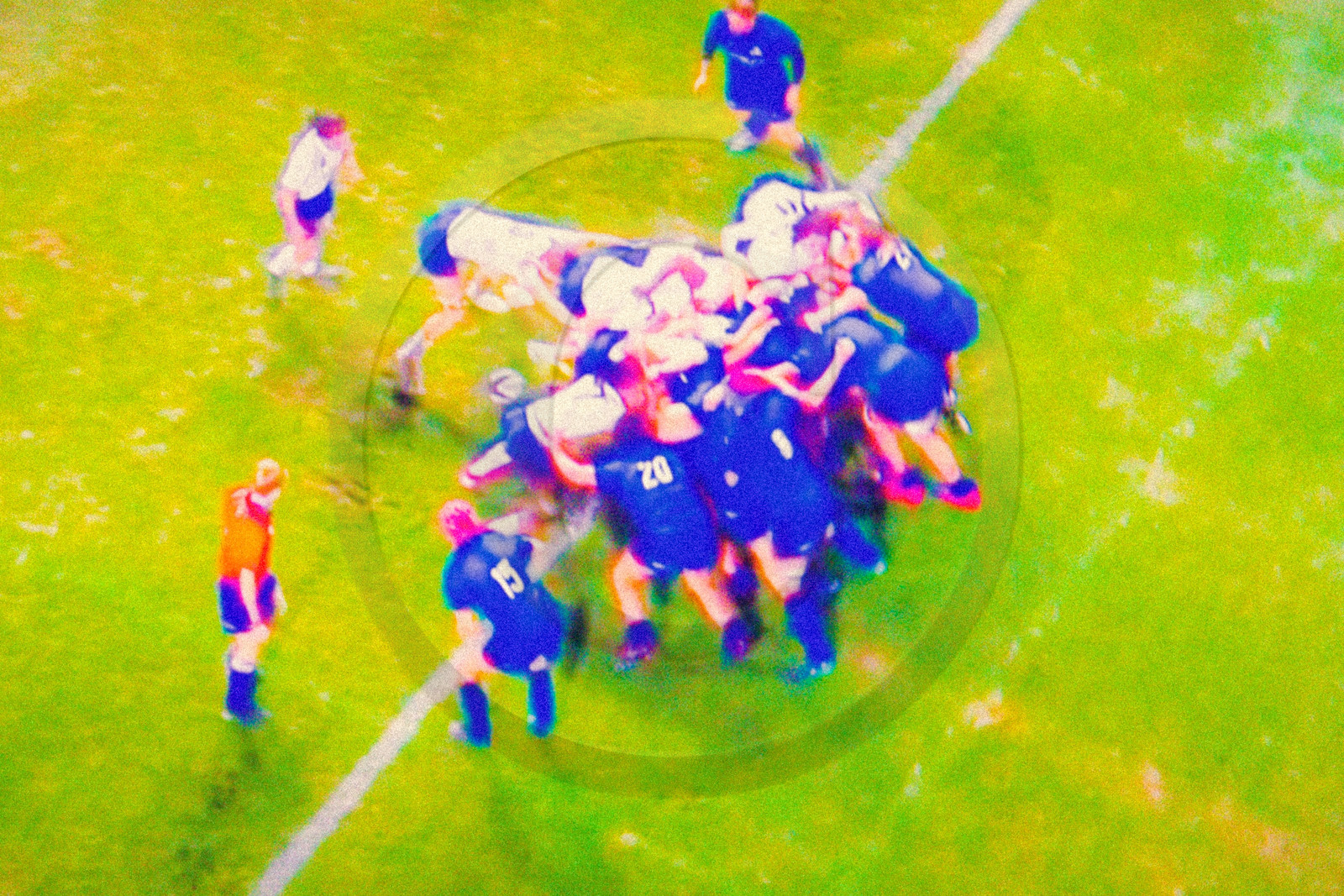 Rugby féminin