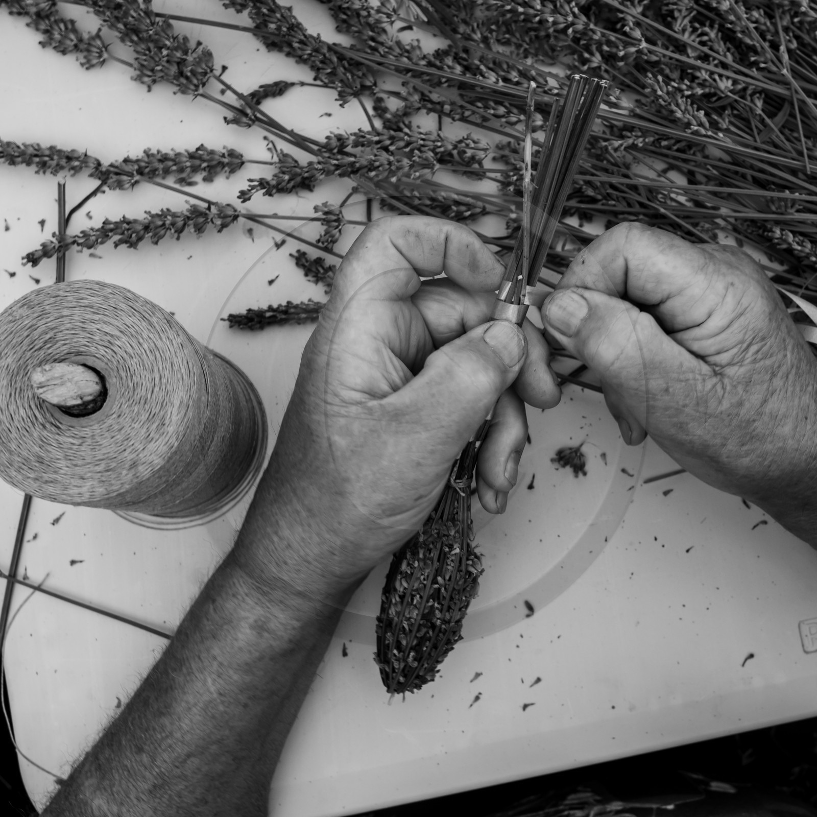Atelier Fuseaux de lavande