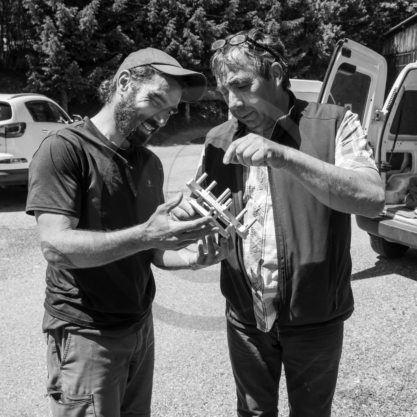 07 juin 2017 - Plantation - Haie - Réunion