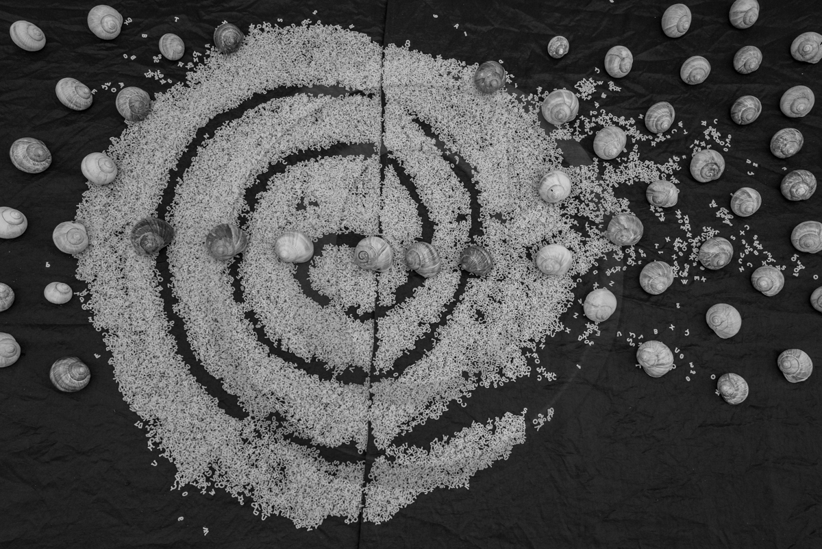 Automne photographique en Champsaur 2022