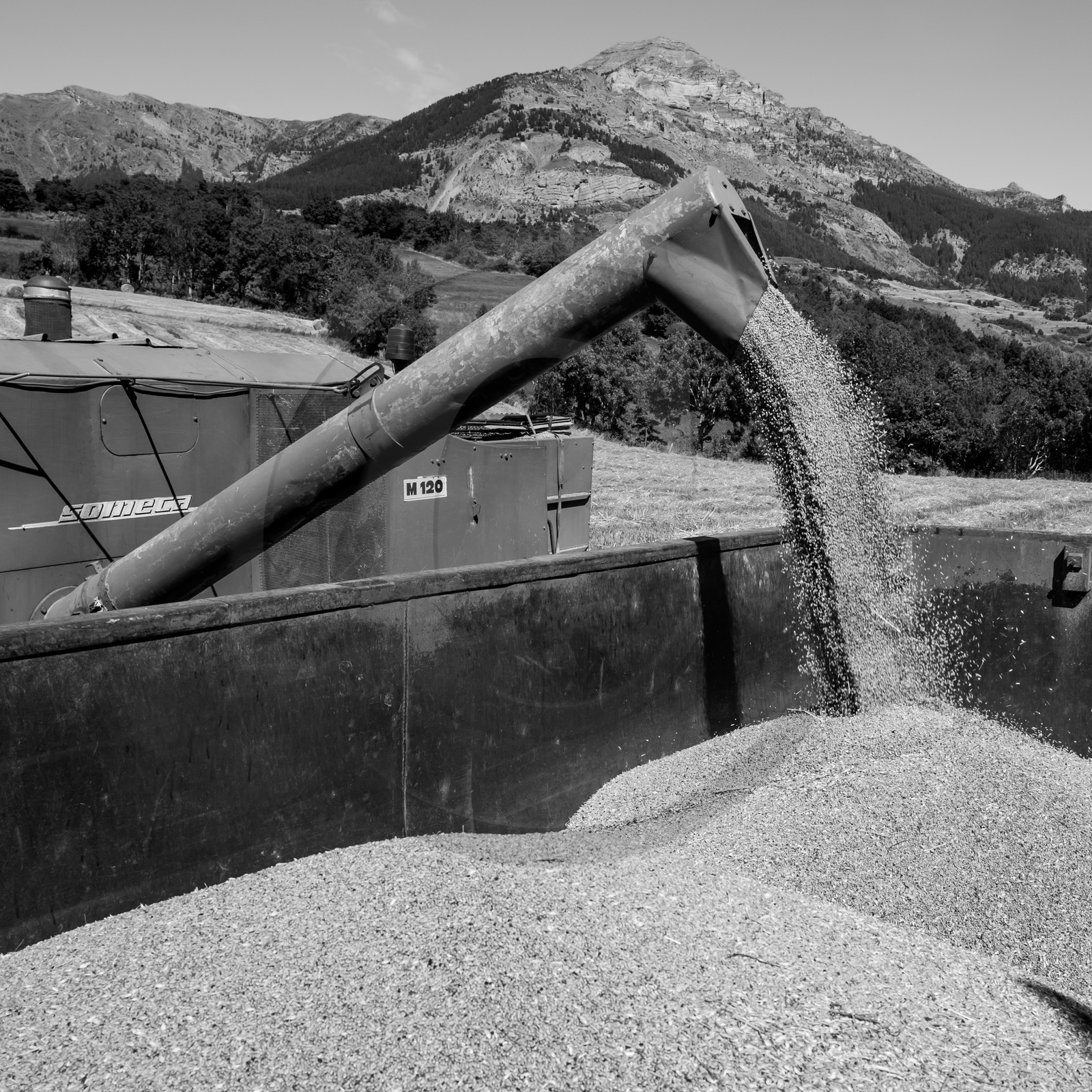 Les moissons dans le Champsaur