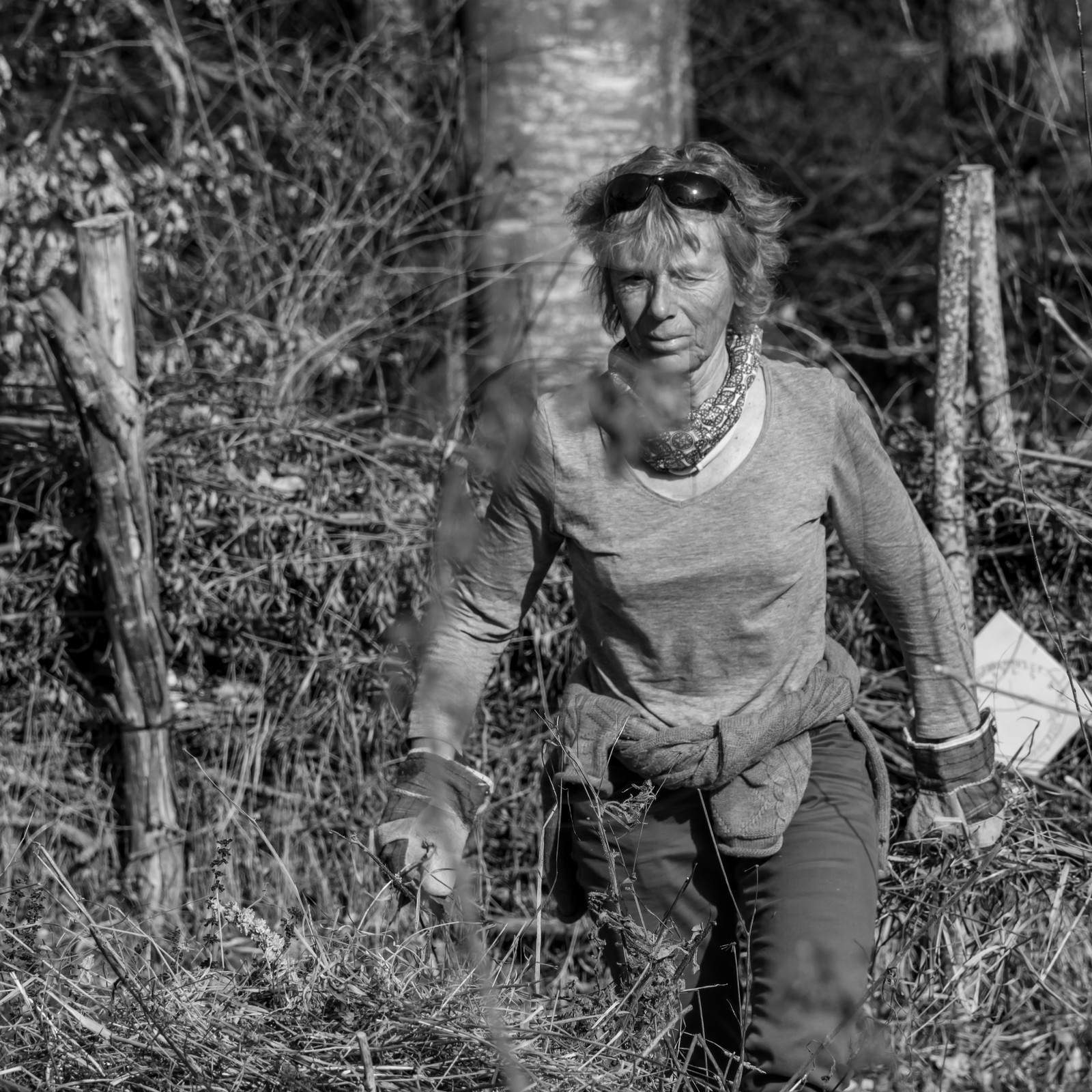 24 février 2021 : on taille, on prépare le jardin...