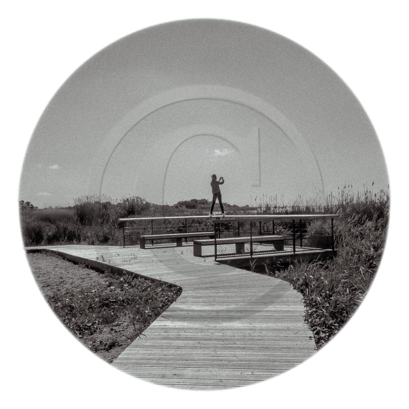 Les instants Camargue