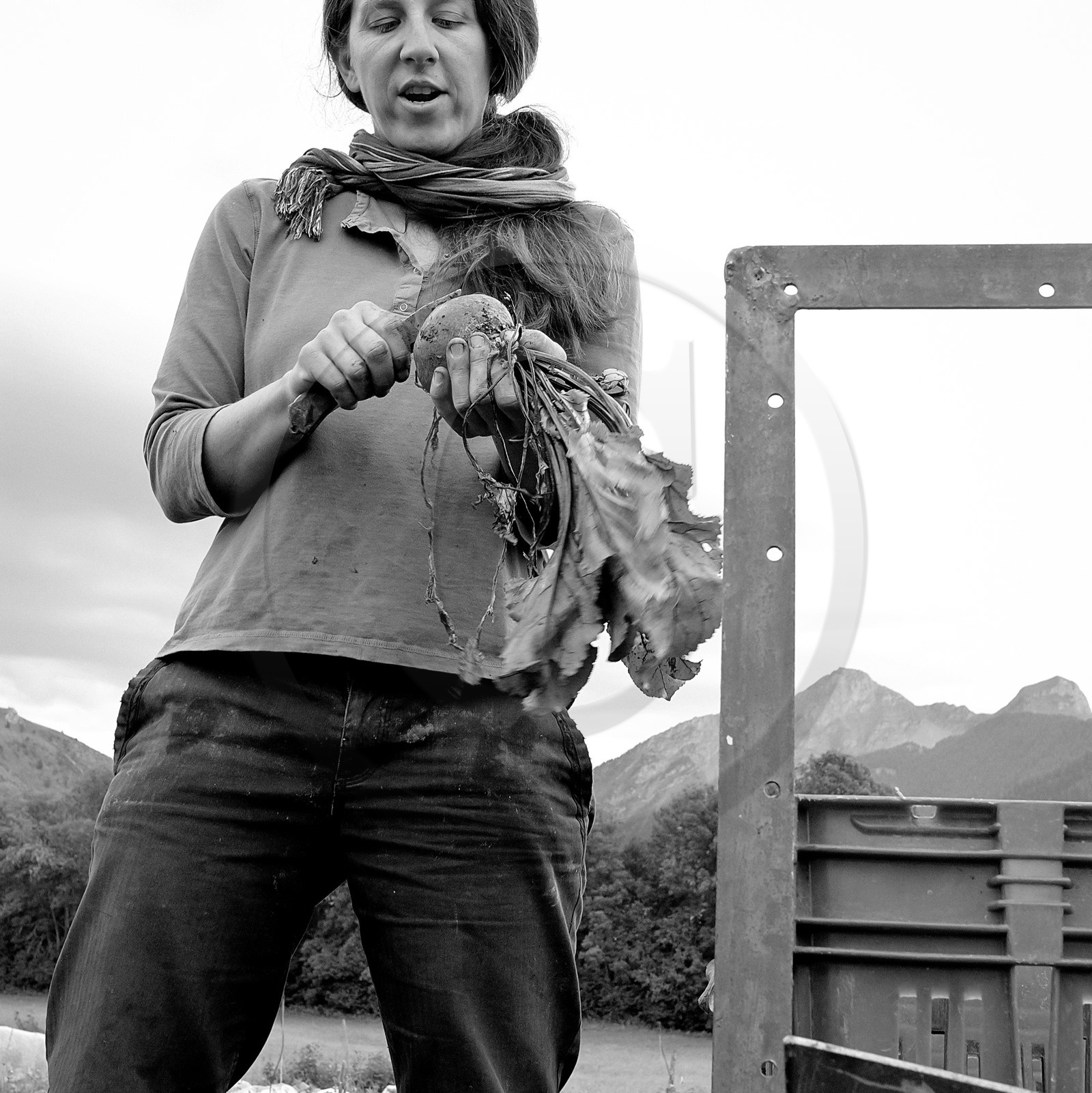 Sophie Jaussaud, maraichère à Ancelle