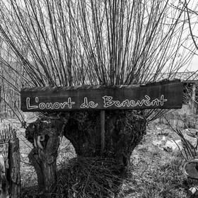 06 avril 2022 : c'est la reprise à l'Ouort