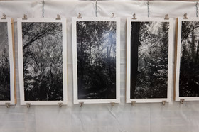 Automne photographique en Champsaur 2019 - Henri Bosco