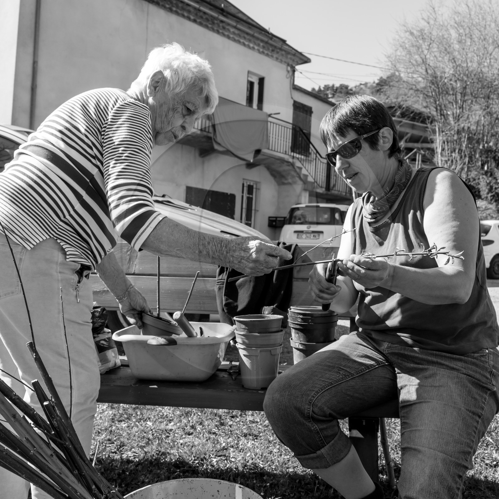 L'Ouort de Bénévent - 29 mars 2017