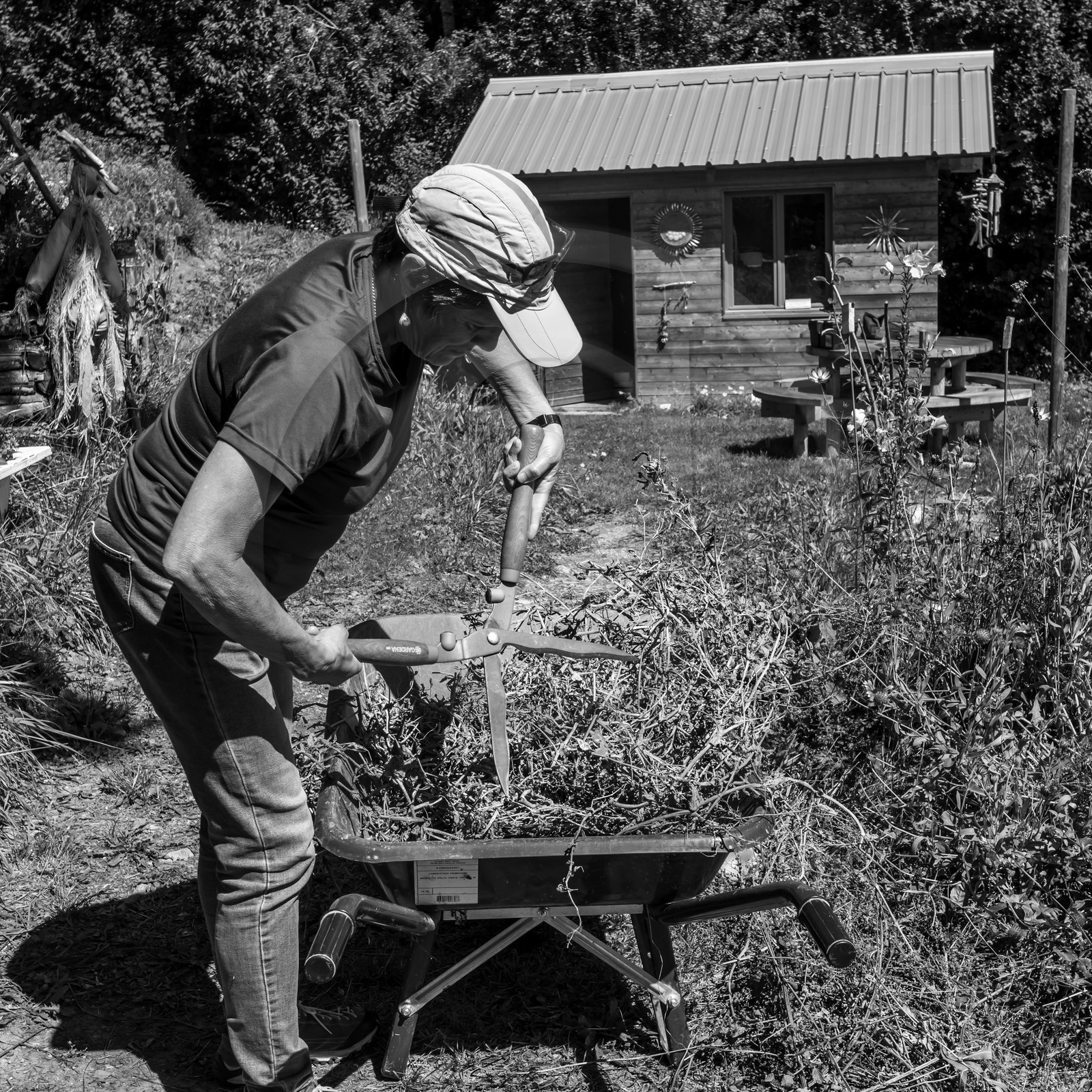 Activités au jardin