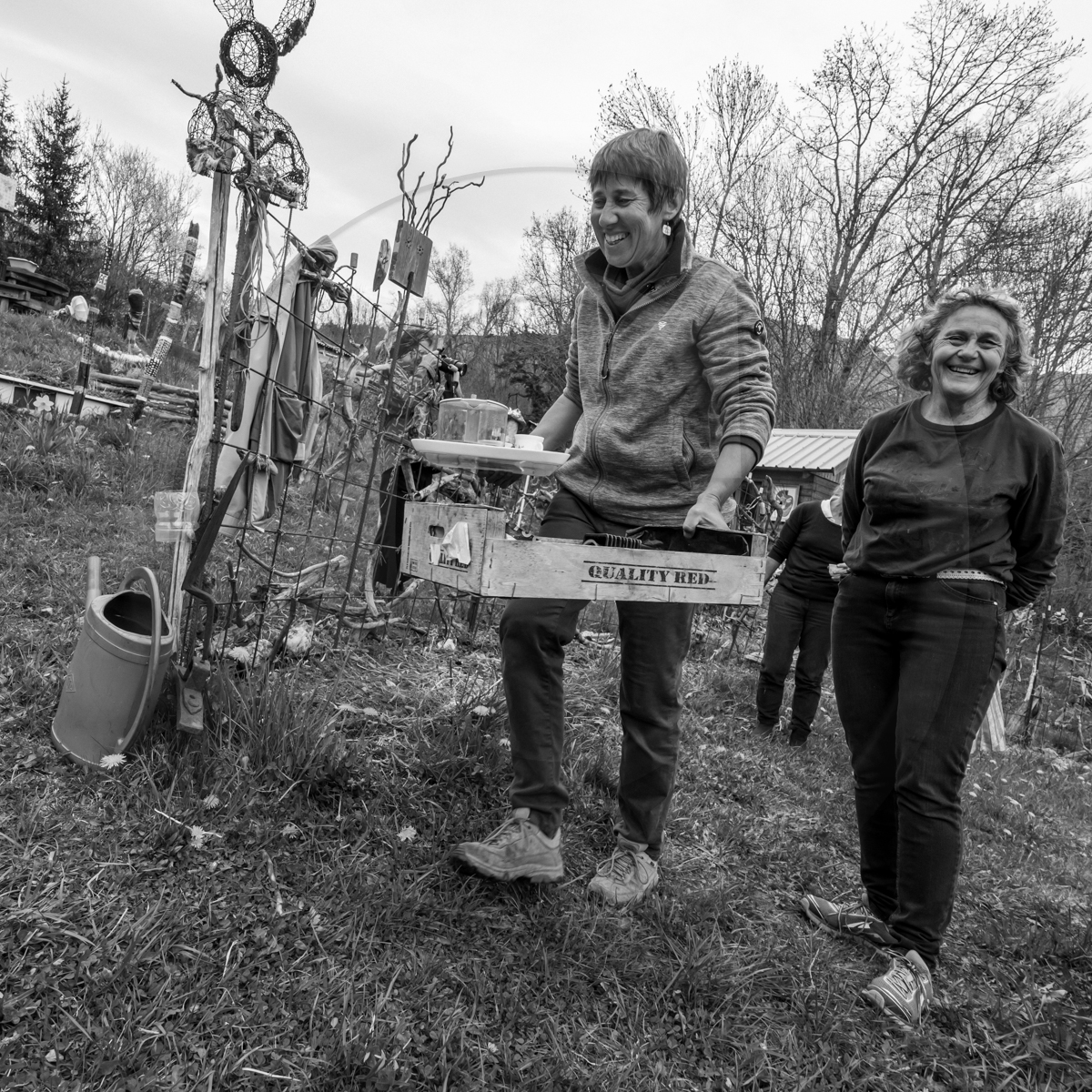 20 avril 2022 : des contes, des pommes de terre et un petit café