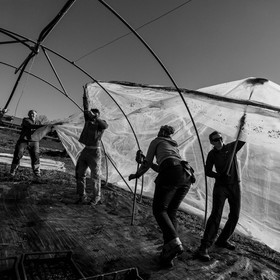 Montage de serres tunnel