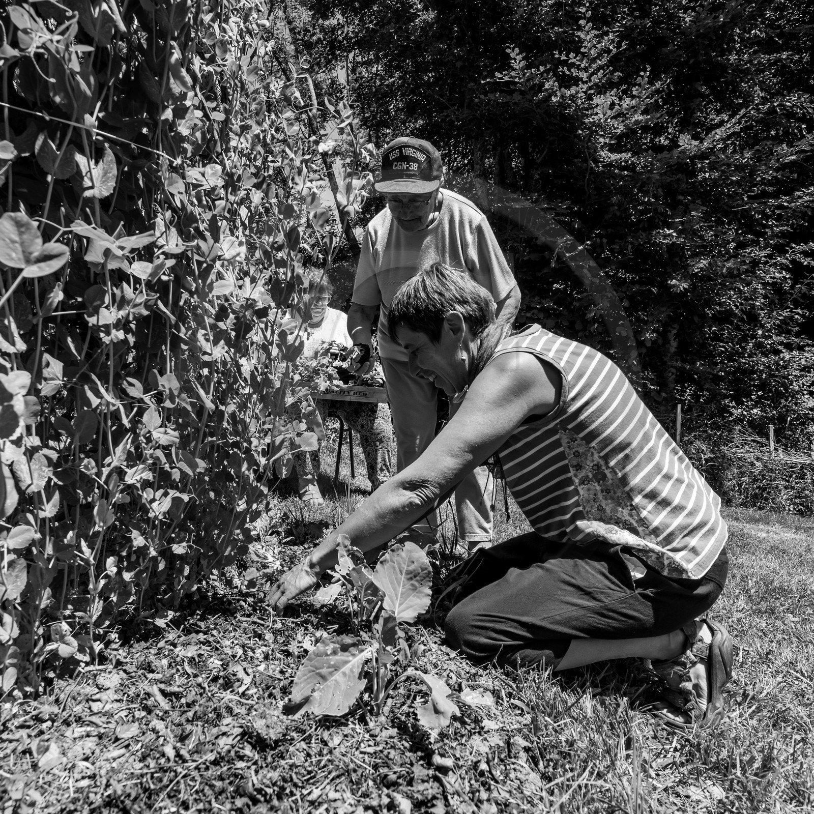 30 juin 2021 : Jardinage, jeux de cartes, masques