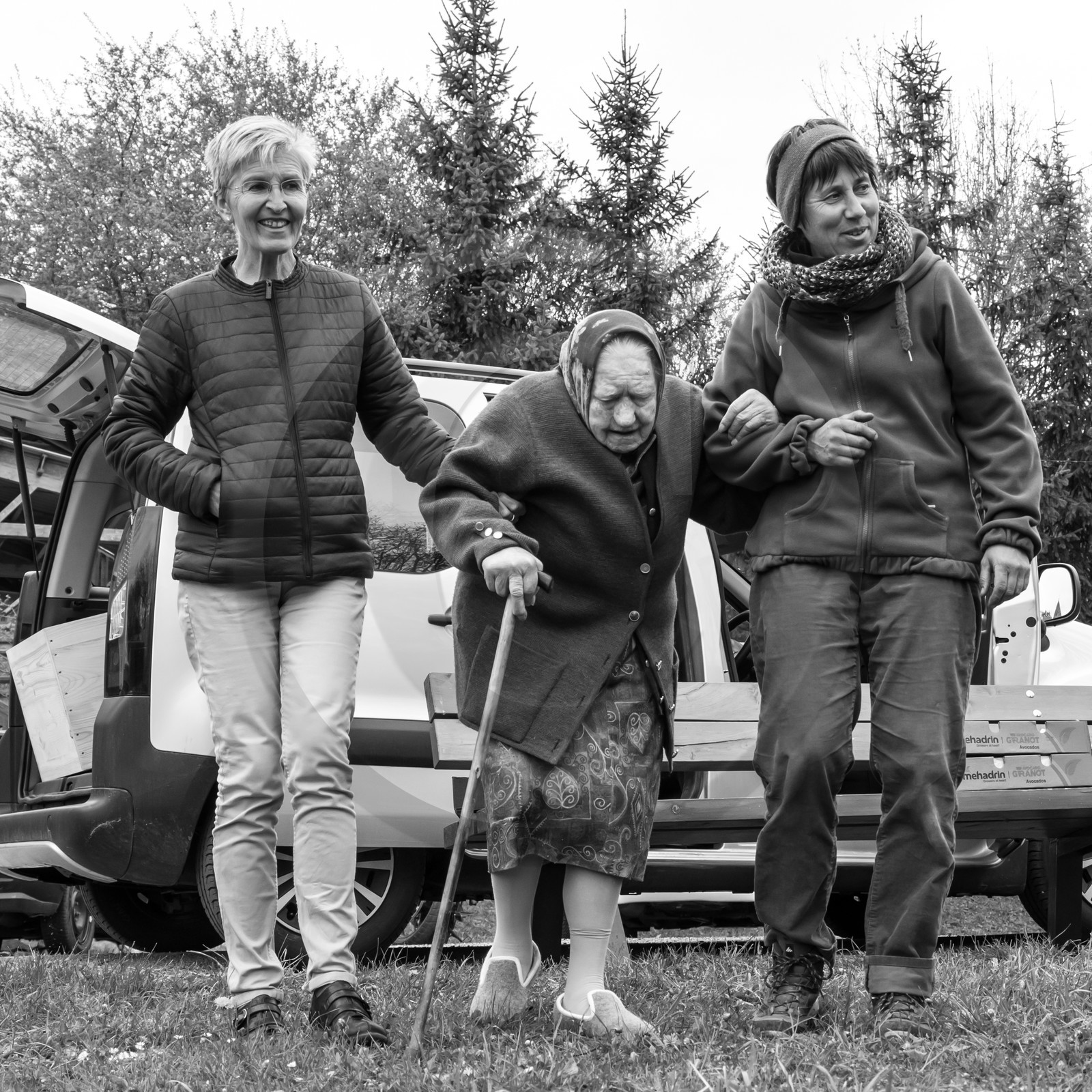 03 mai 2017 - Bac, semis et plantations