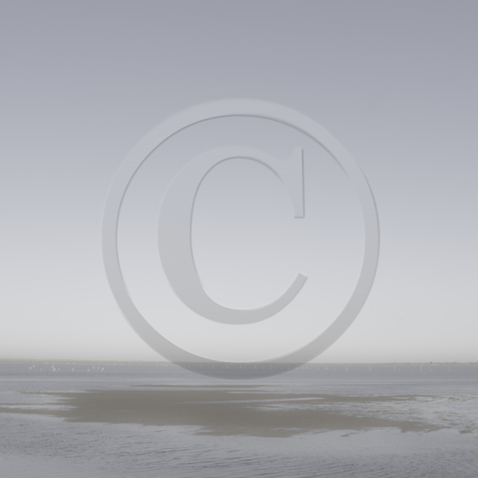 Camargue couleur pastel