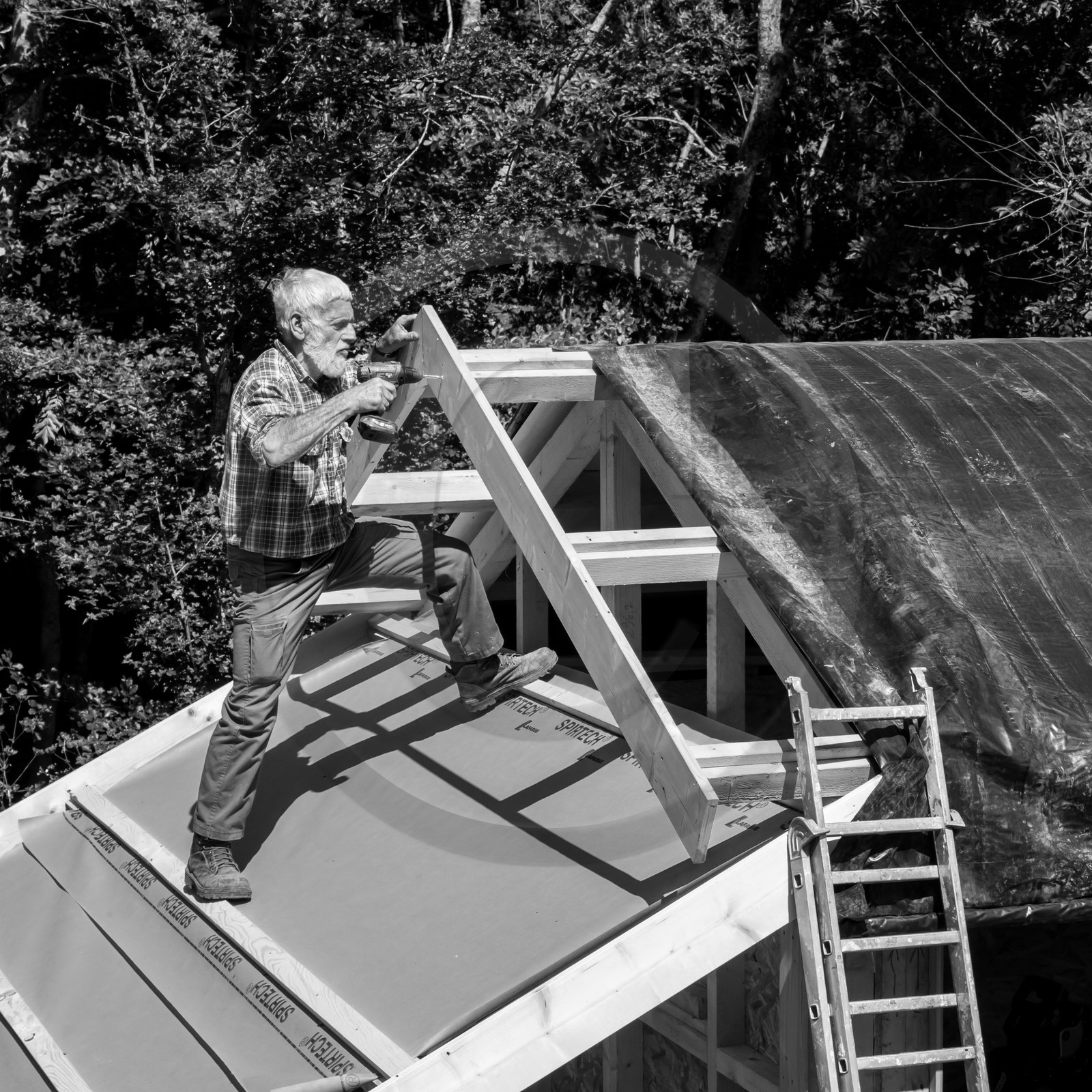 Construction d'une cabane