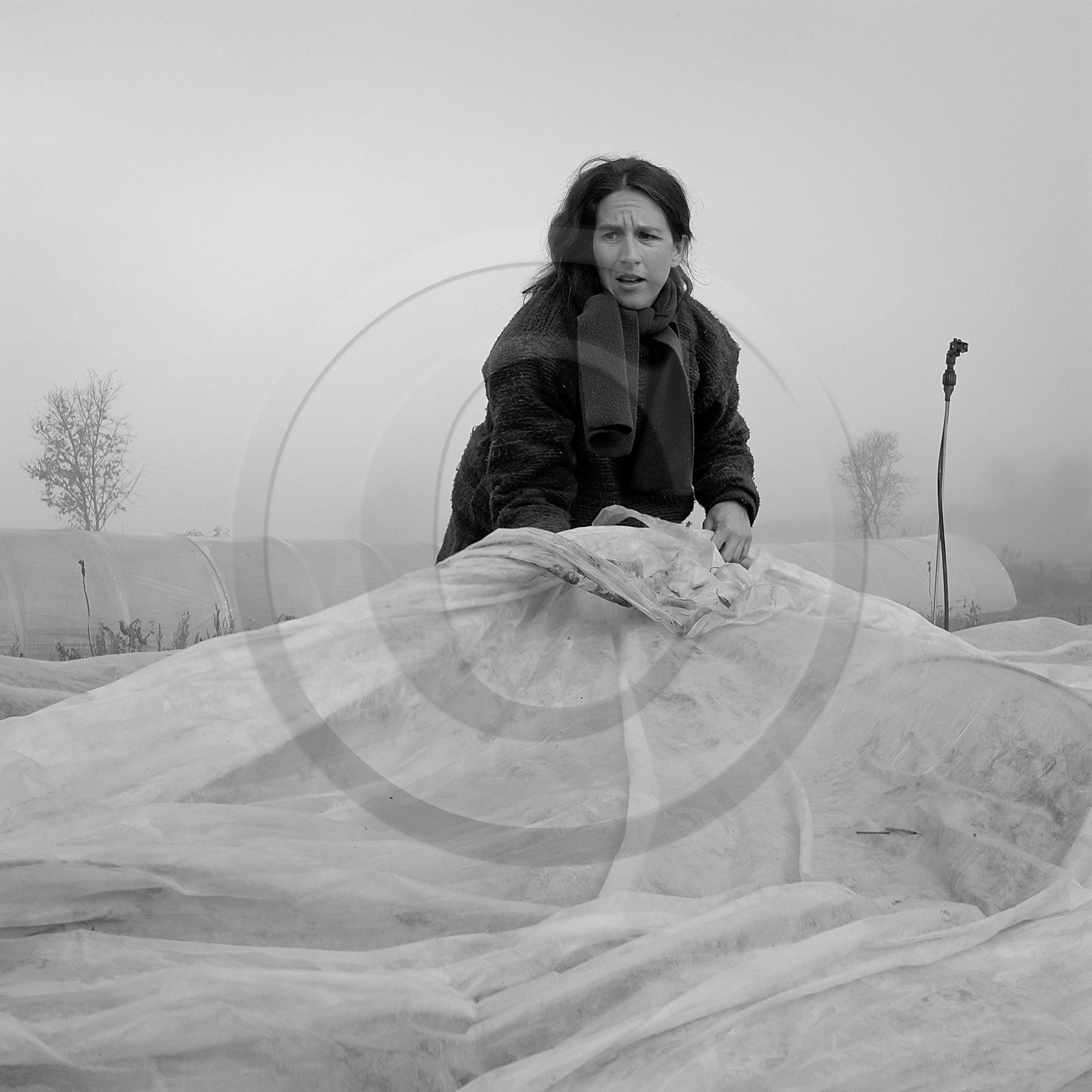 Sophie Jaussaud, maraichère à Ancelle