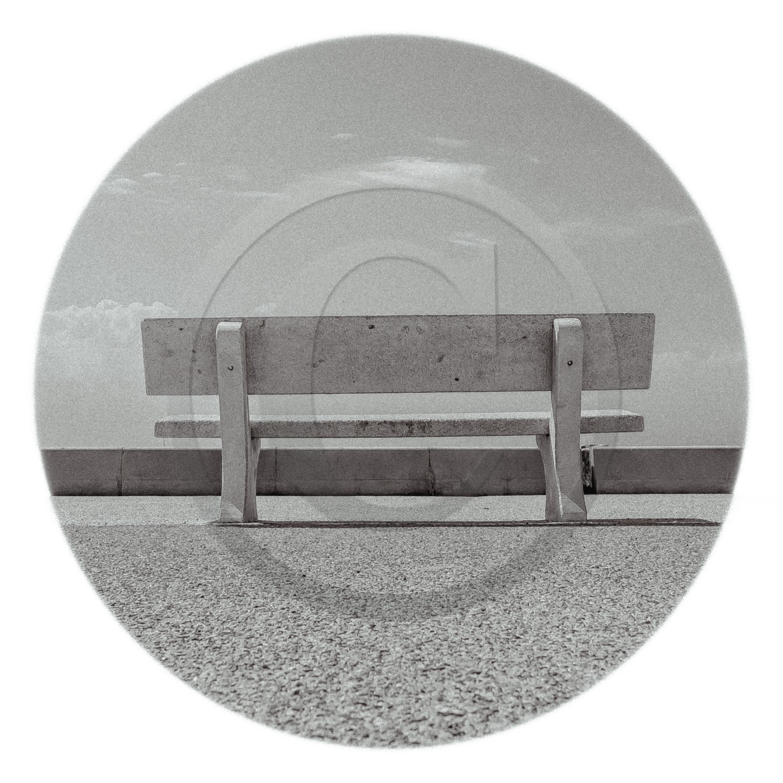 Les instants Camargue