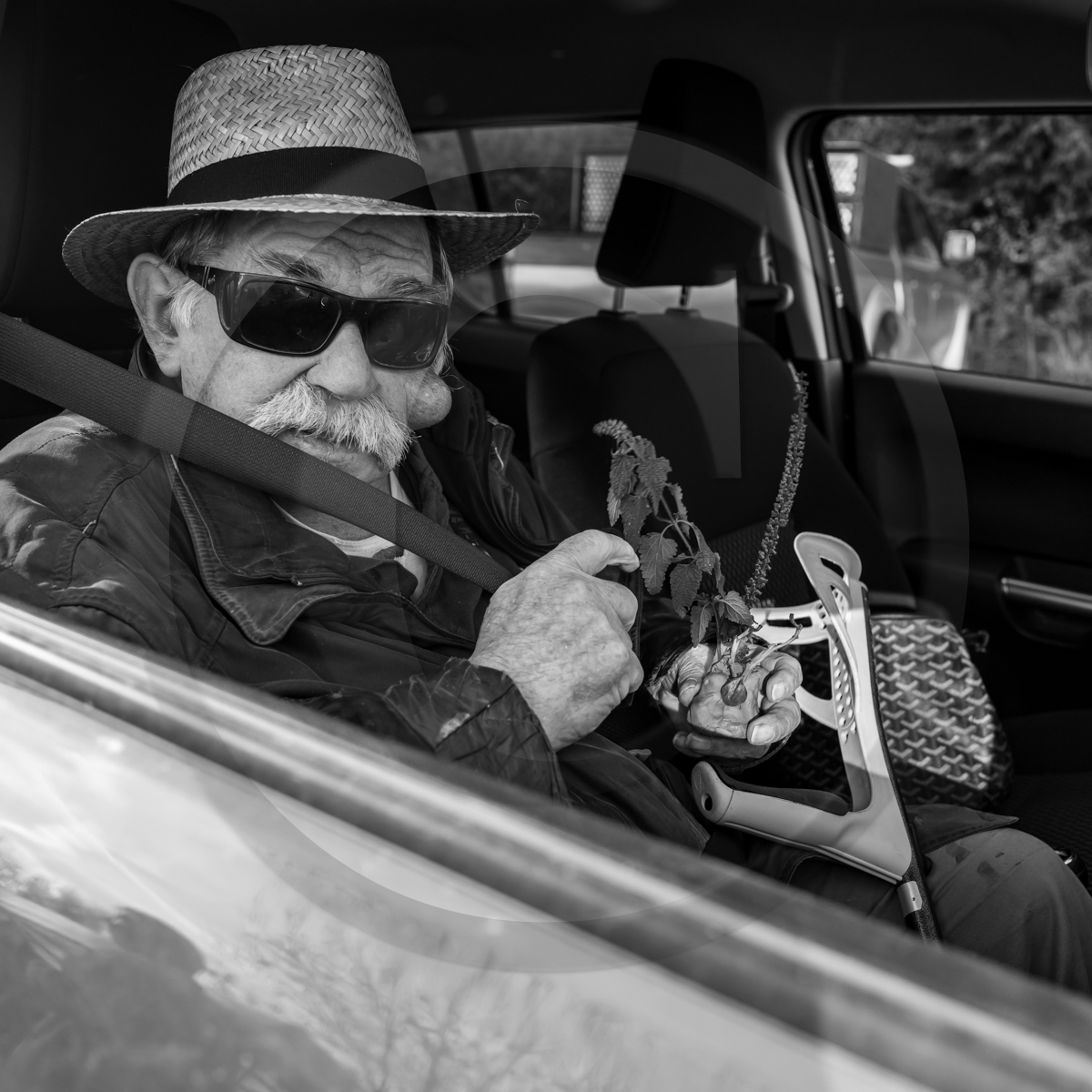 26 octobre 2022 : dernier mercredi de la saison à l'Ouort