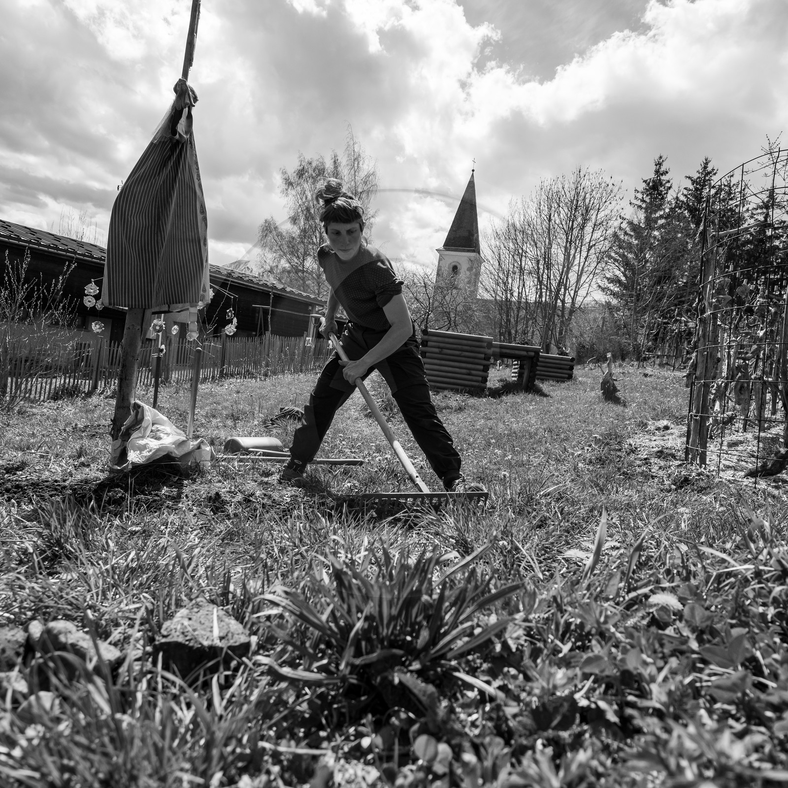 14 avril 2021 : collages, taille, jardinage