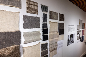 Expositions à la maison du Berger - Champoléon