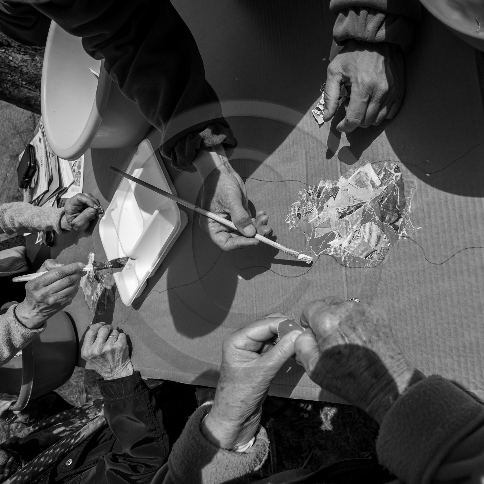 14 avril 2021 : collages, taille, jardinage