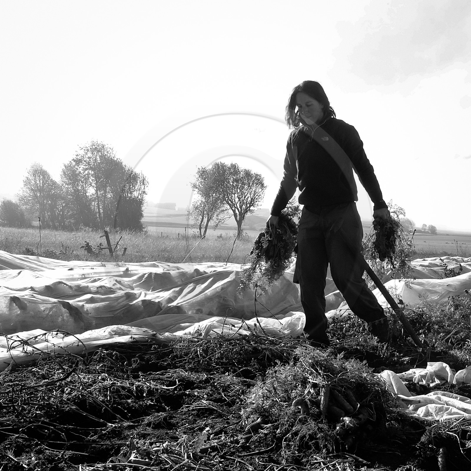 Sophie Jaussaud, maraichère à Ancelle