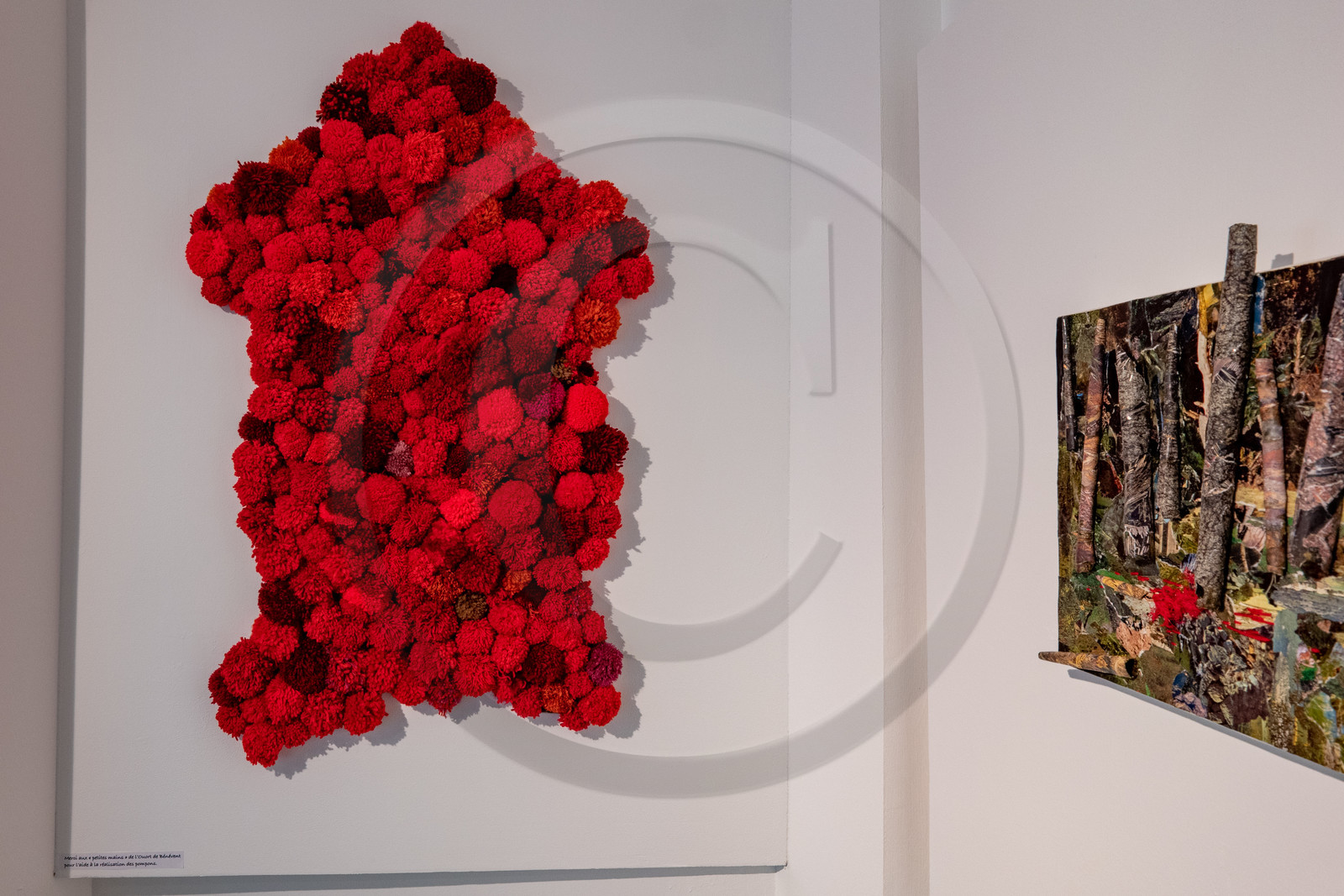 Expositions à la maison du Berger - Champoléon