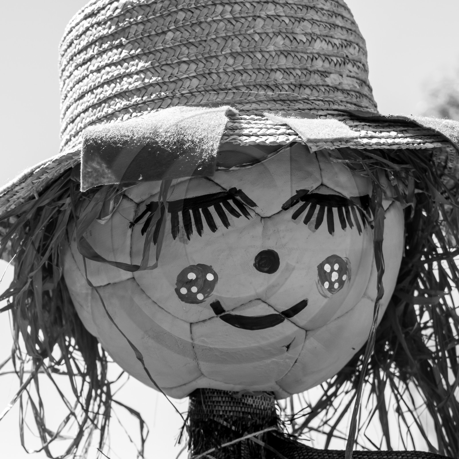 05 juillet 2017 - Installation épouvantails