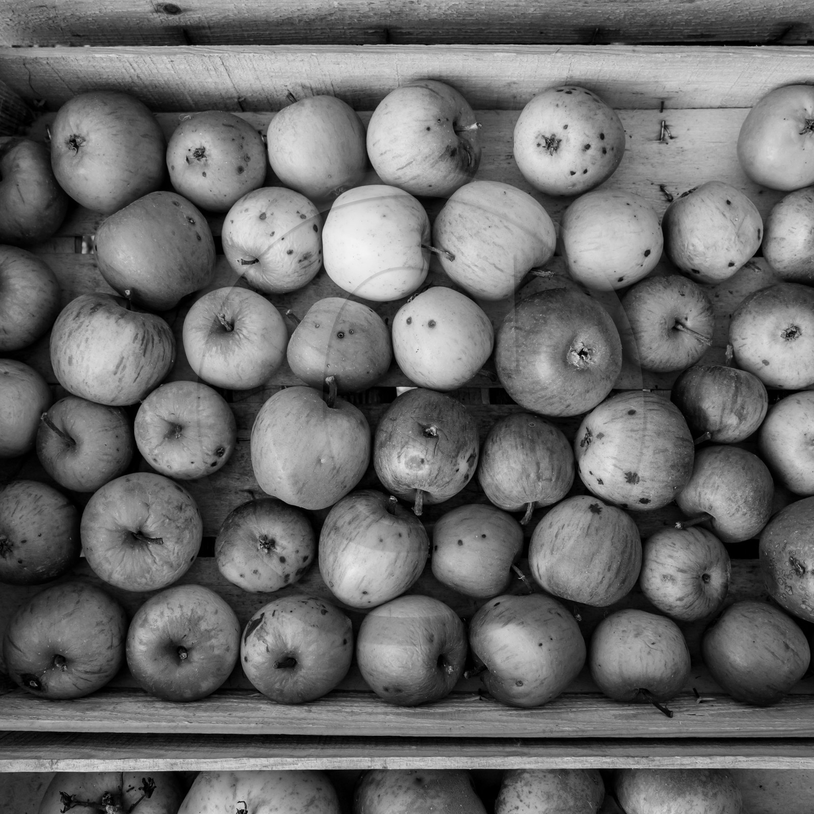 Ramène ta pomme