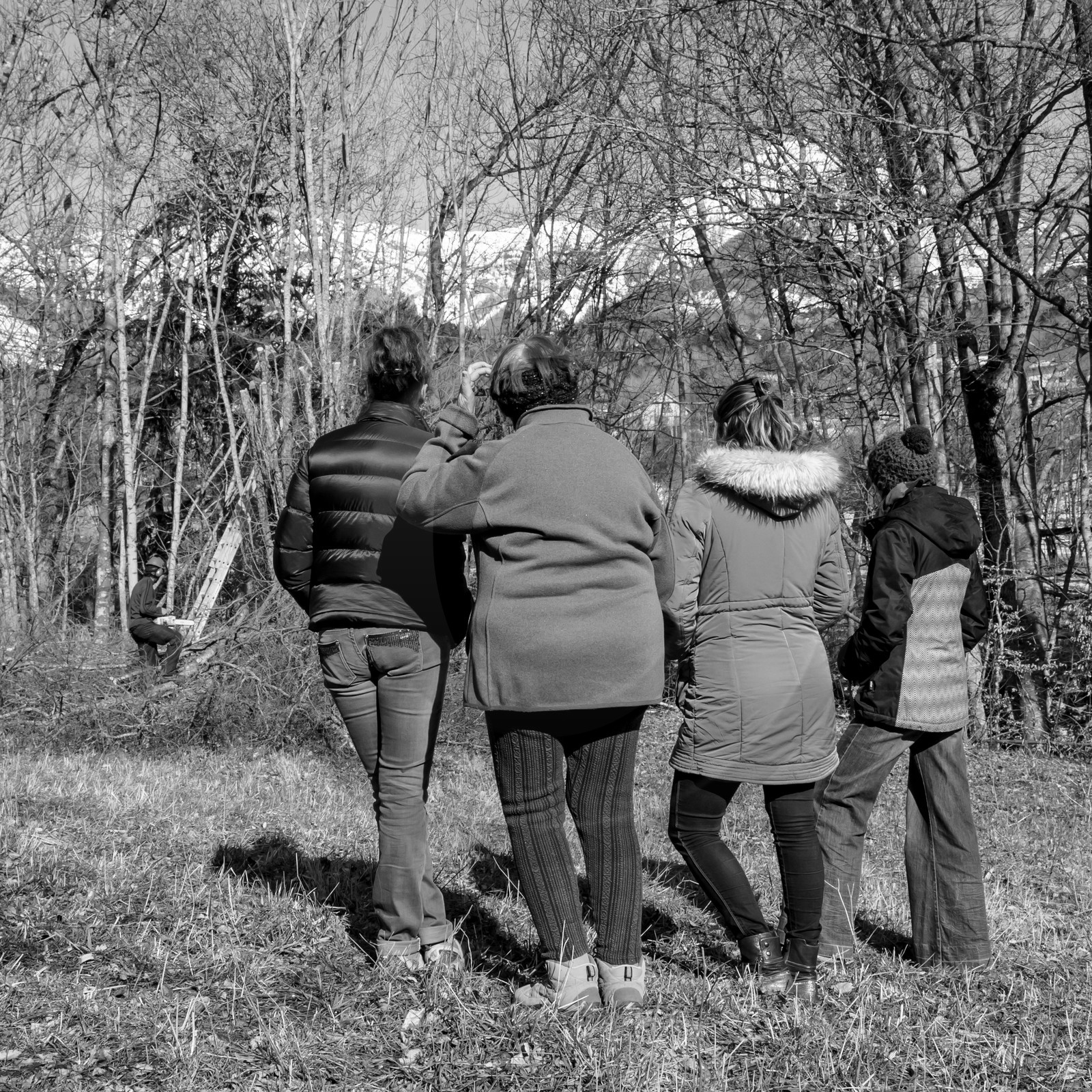 Elagage - 08 03 2017
