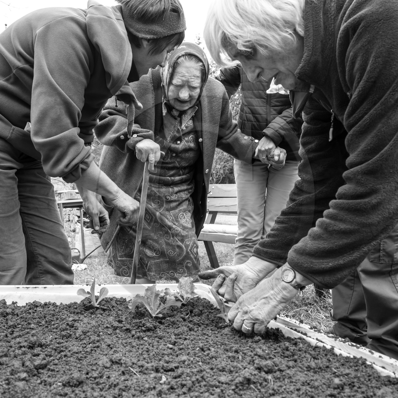 03 mai 2017 - Bac, semis et plantations