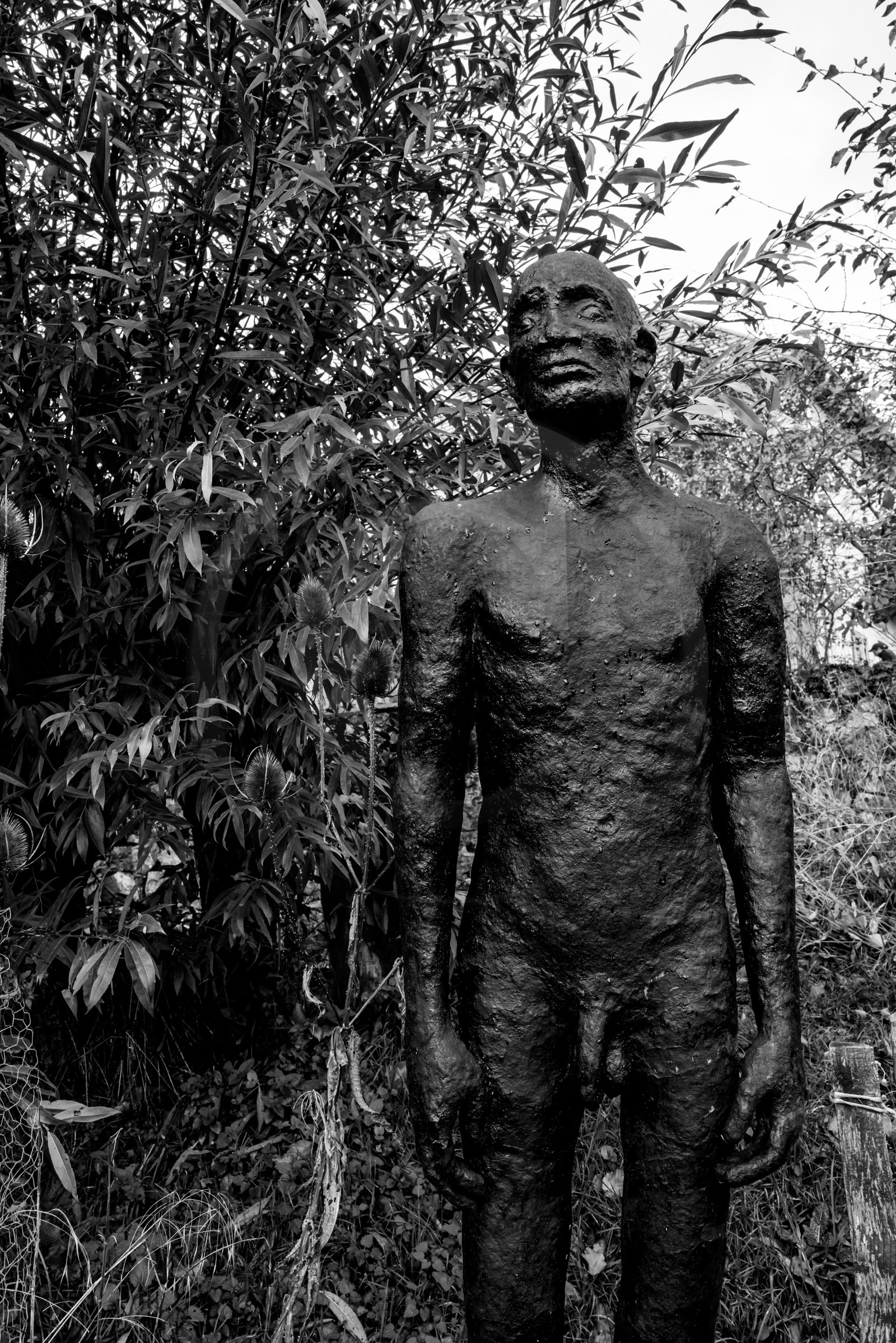 Exposition La forêt d'hommes, une création de Barbara Fougnon, artiste plasticienne