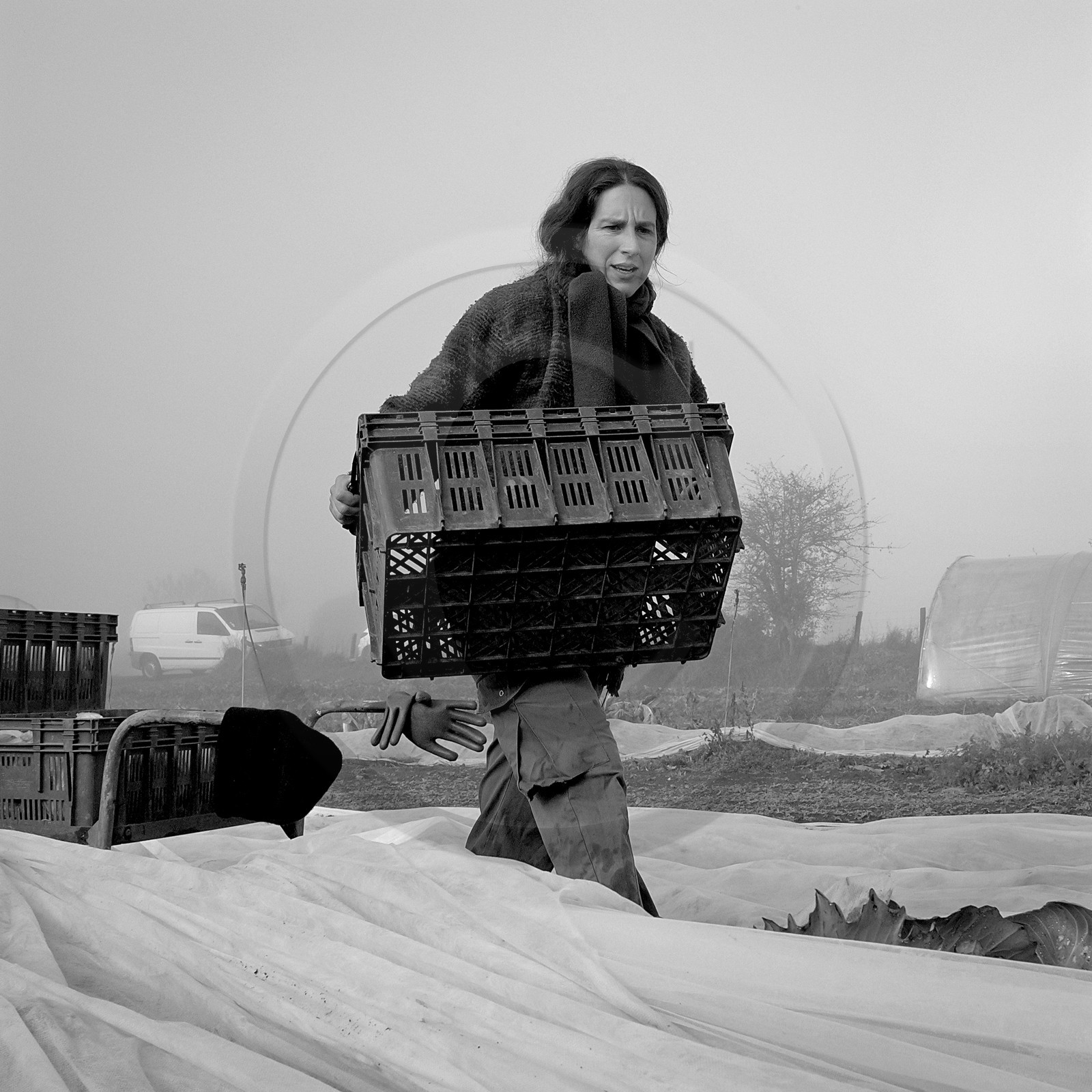 Sophie Jaussaud, maraichère à Ancelle