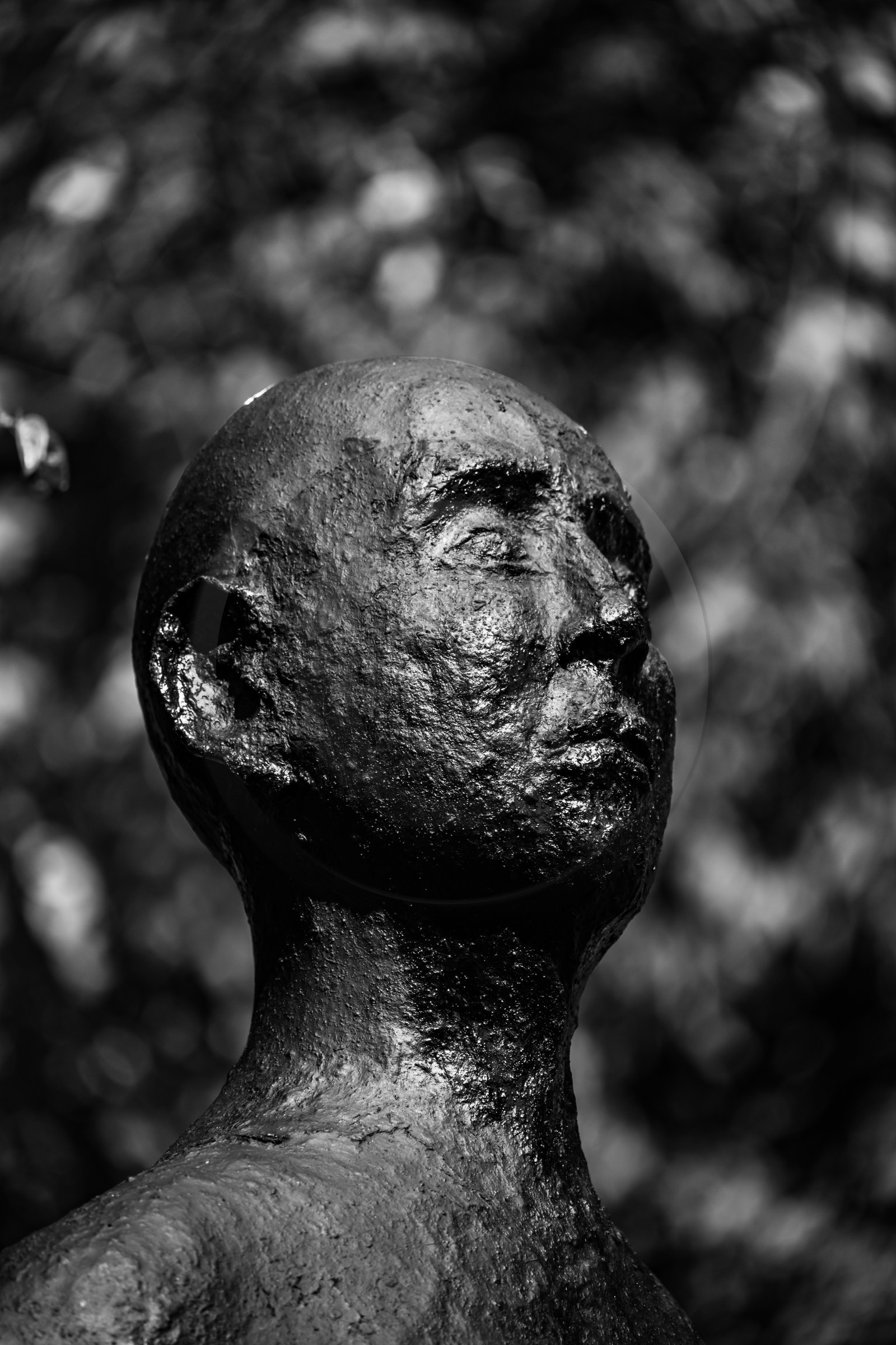 Exposition La forêt d'hommes, une création de Barbara Fougnon, artiste plasticienne