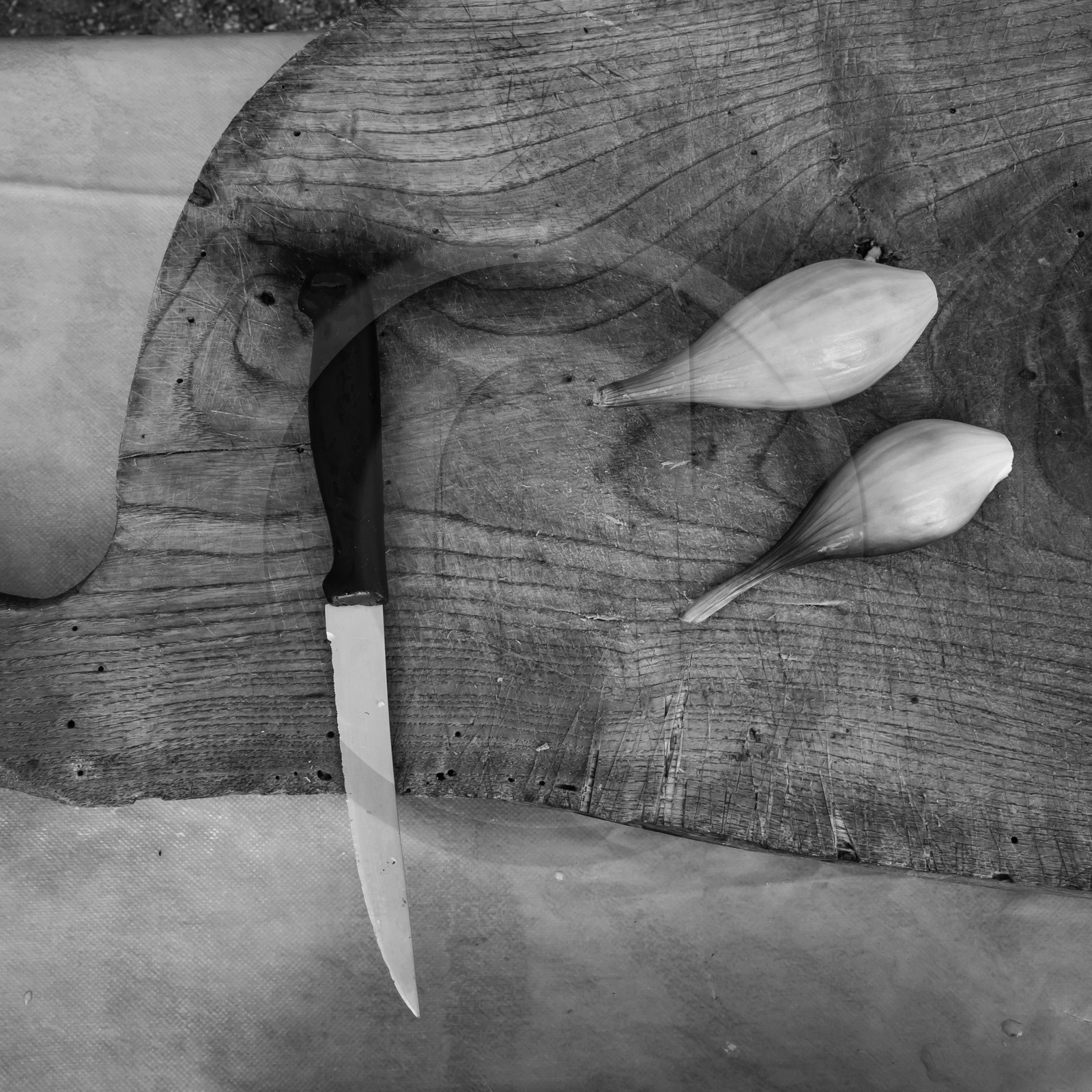 Pascal Daumaus, cuisinier et éducateur de goût