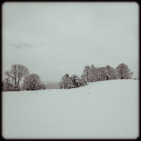 Paysage hivernal à Poligny