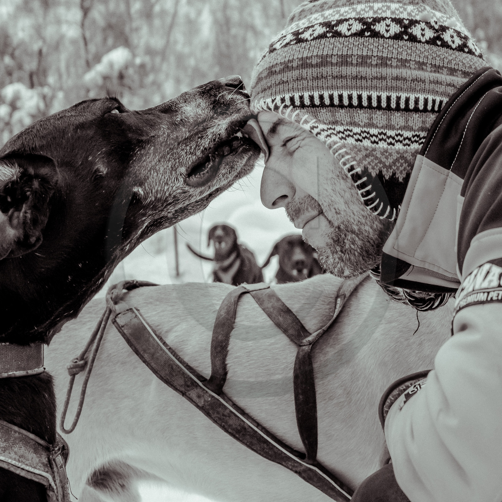 La Valgaude Traineau 2015