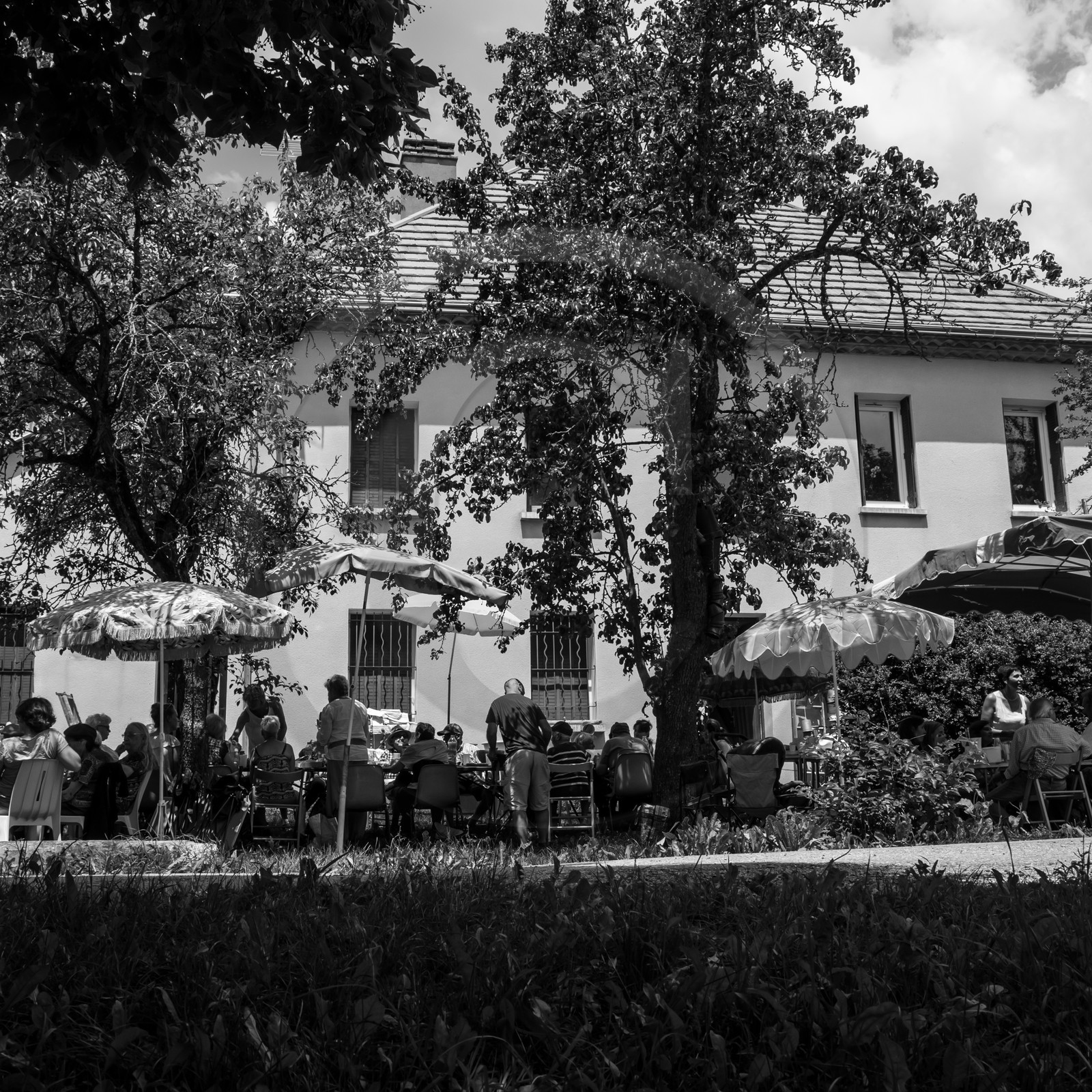 Une après-midi au jardin