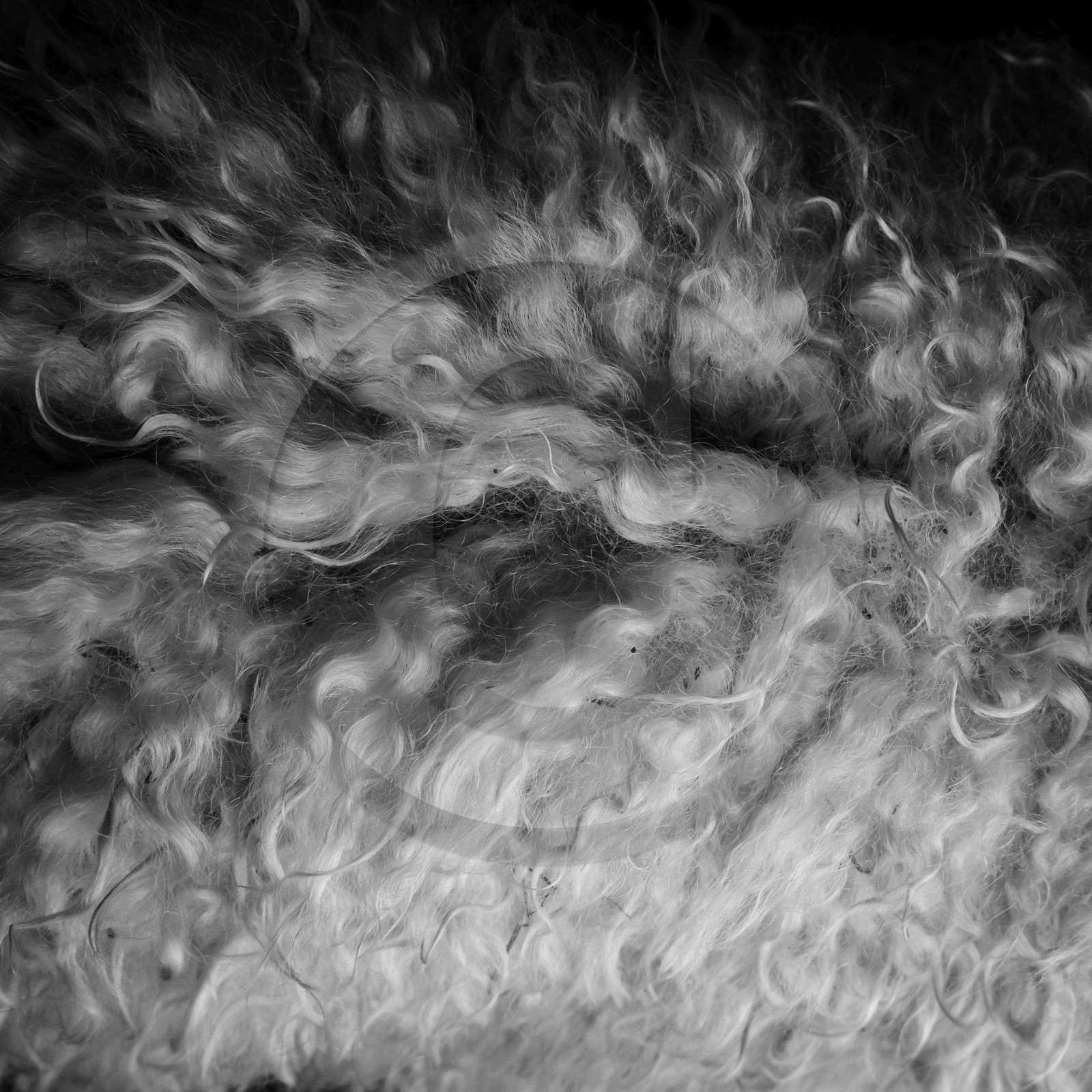 Le mohair arc en ciel