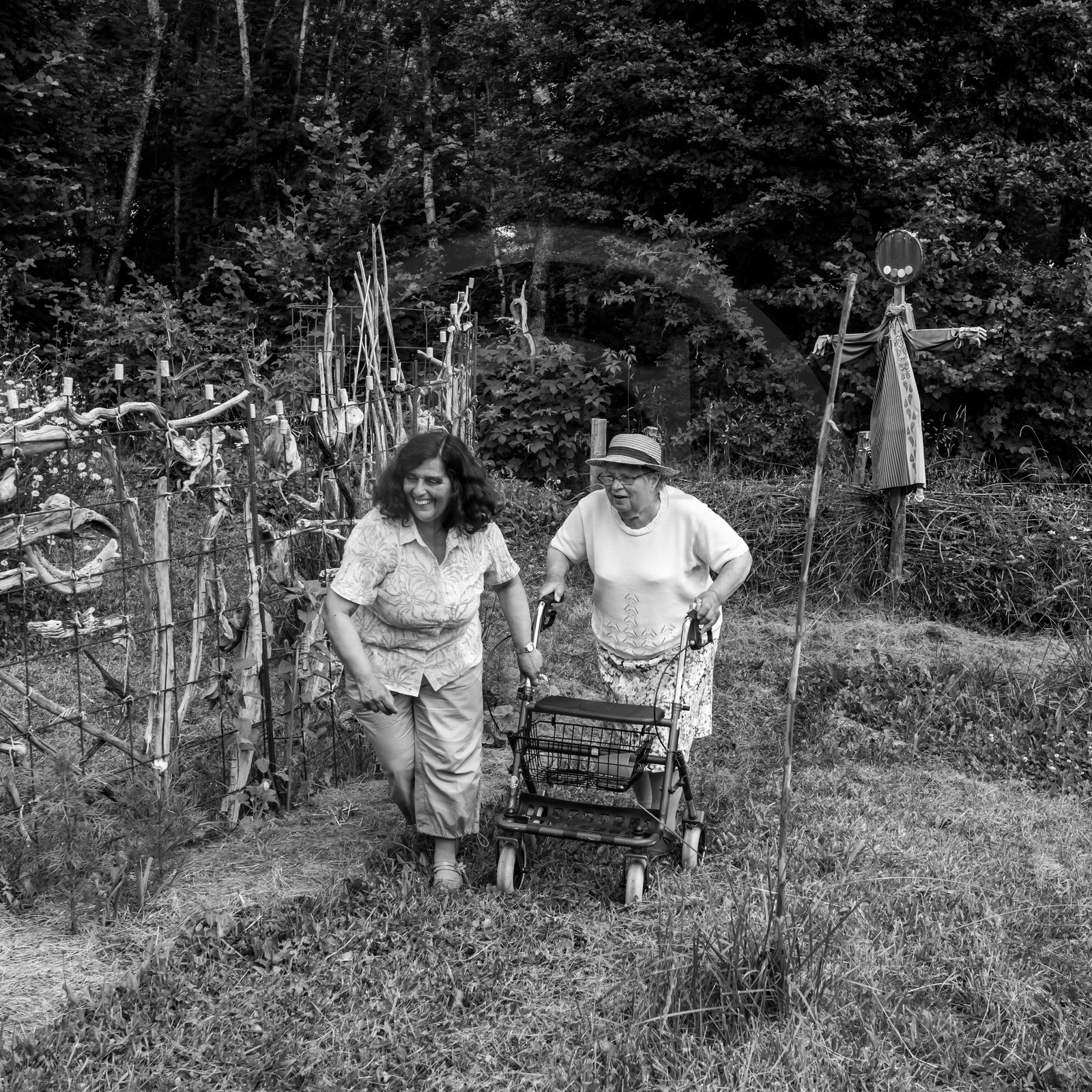Animations au jardin