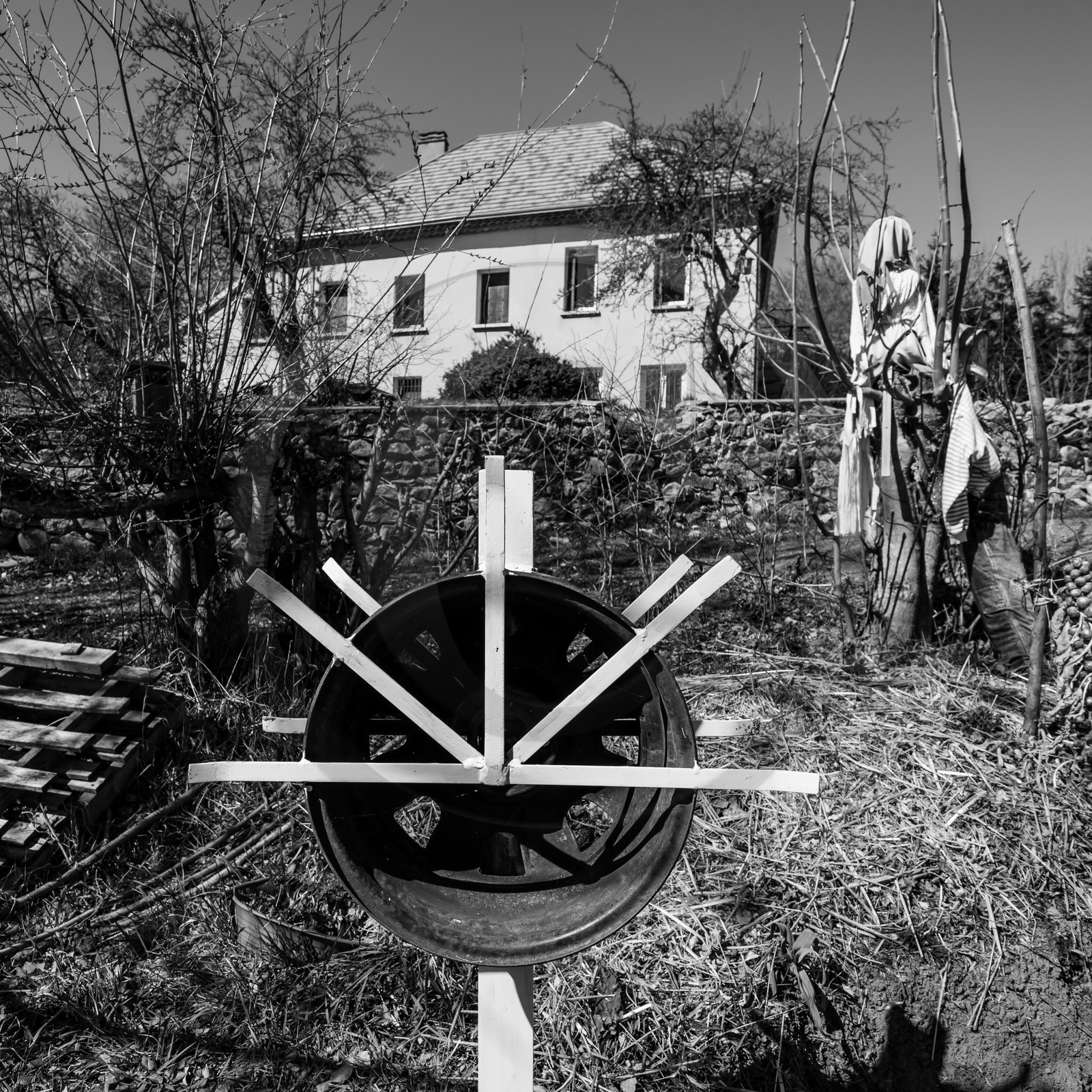 20 mars 2018 : une après-midi au jardin