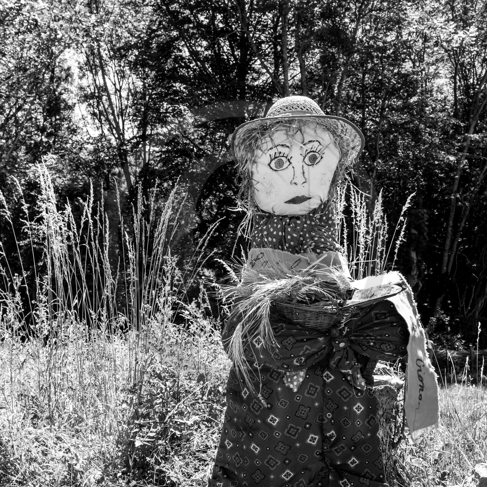 05 juillet 2017 - Installation épouvantails