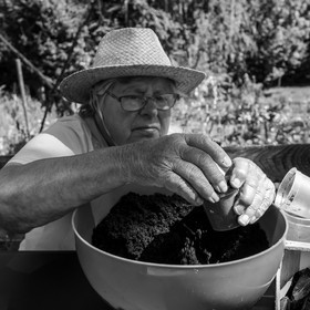 Activités au jardin