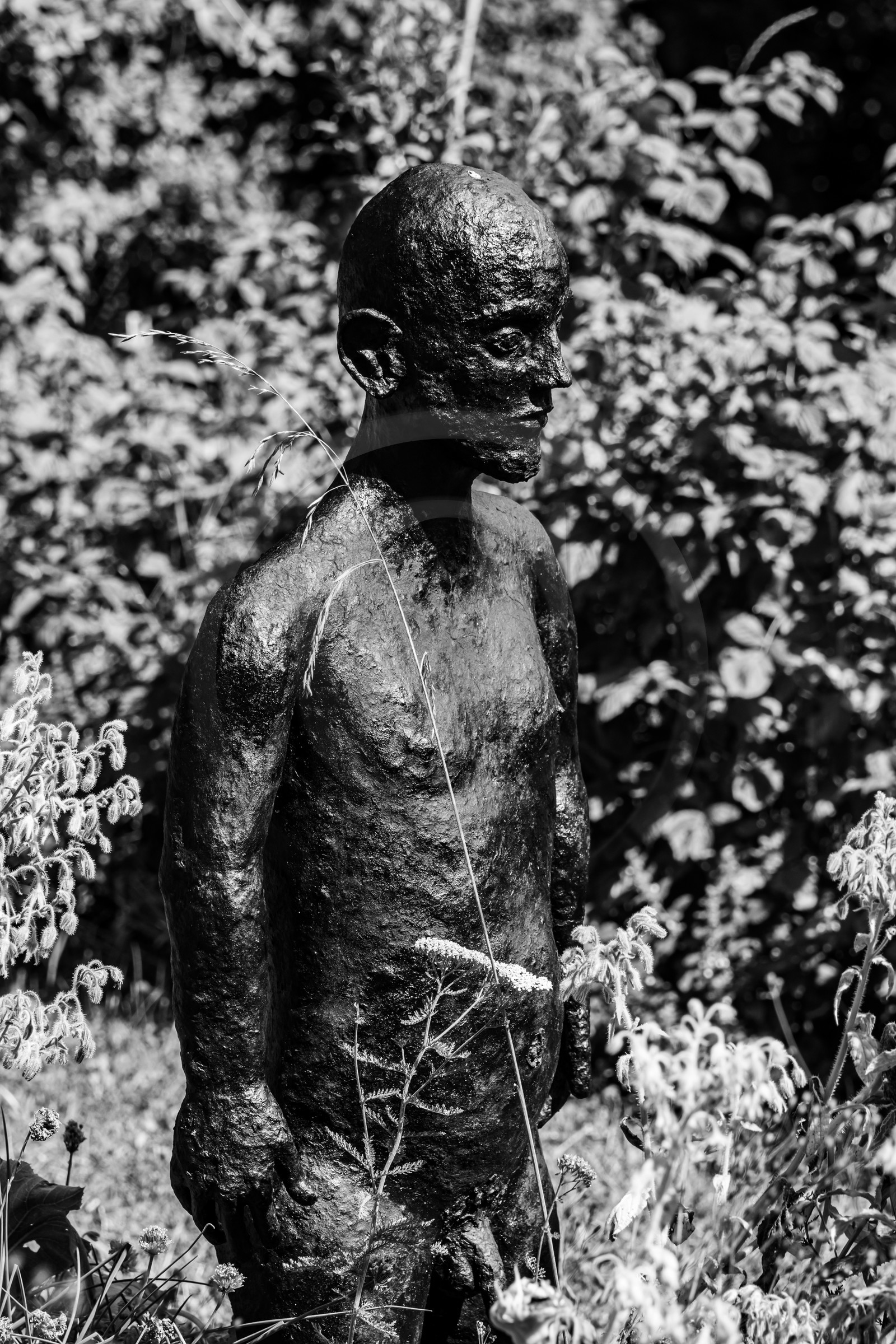 Exposition La forêt d'hommes, une création de Barbara Fougnon, artiste plasticienne