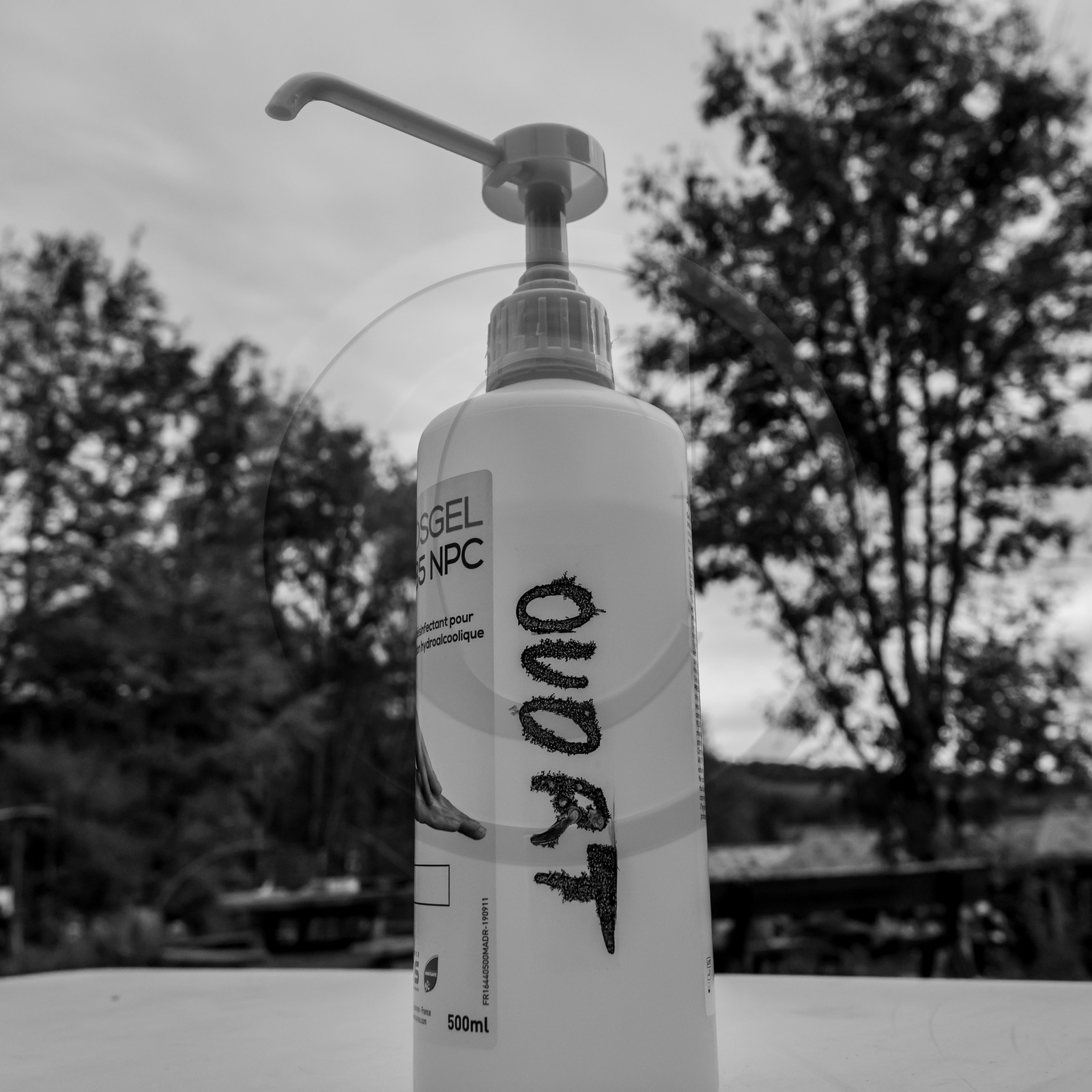 Semis, tournesols et jeux