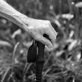 30 avril 2025 : Un oiseau en osier