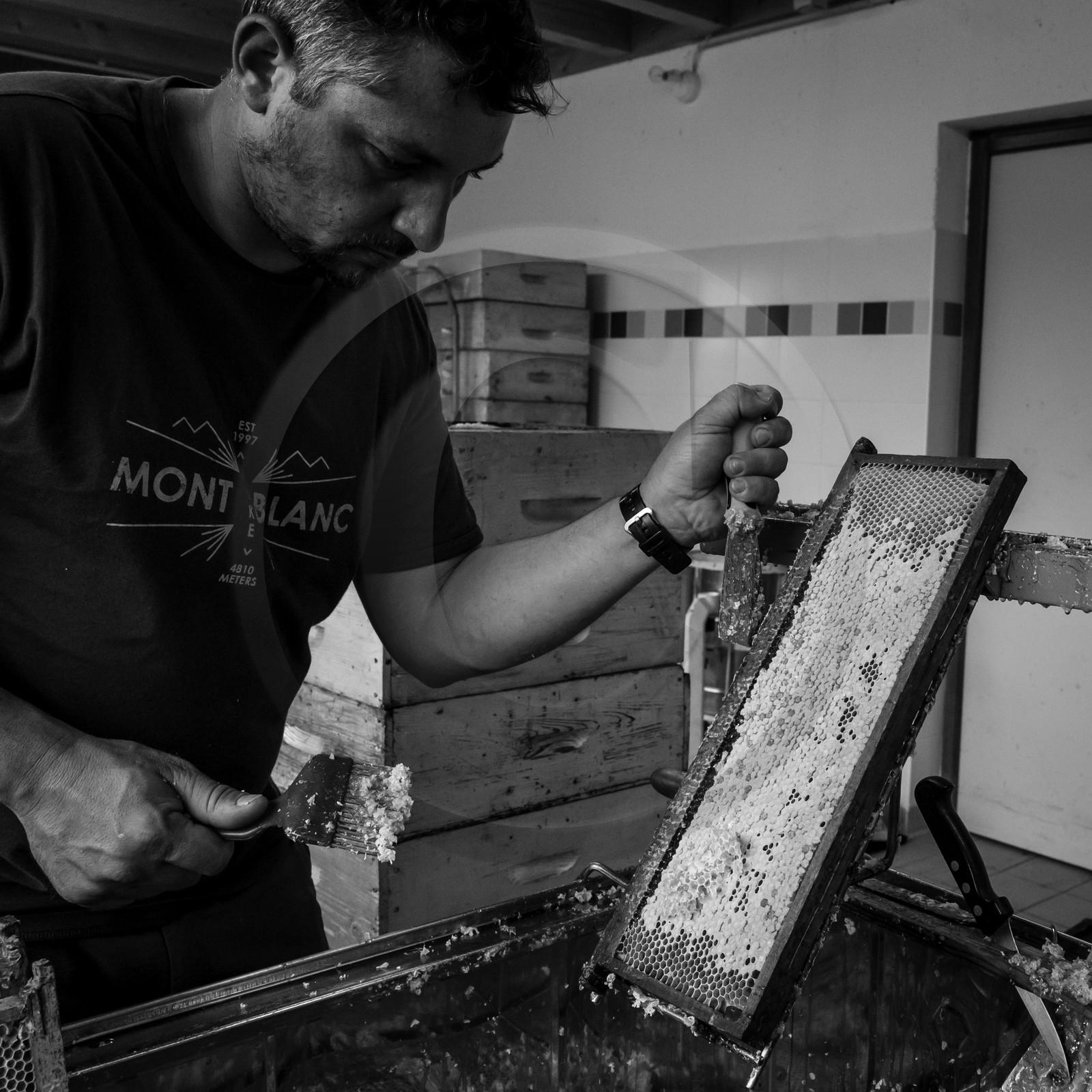 L'extraction du miel