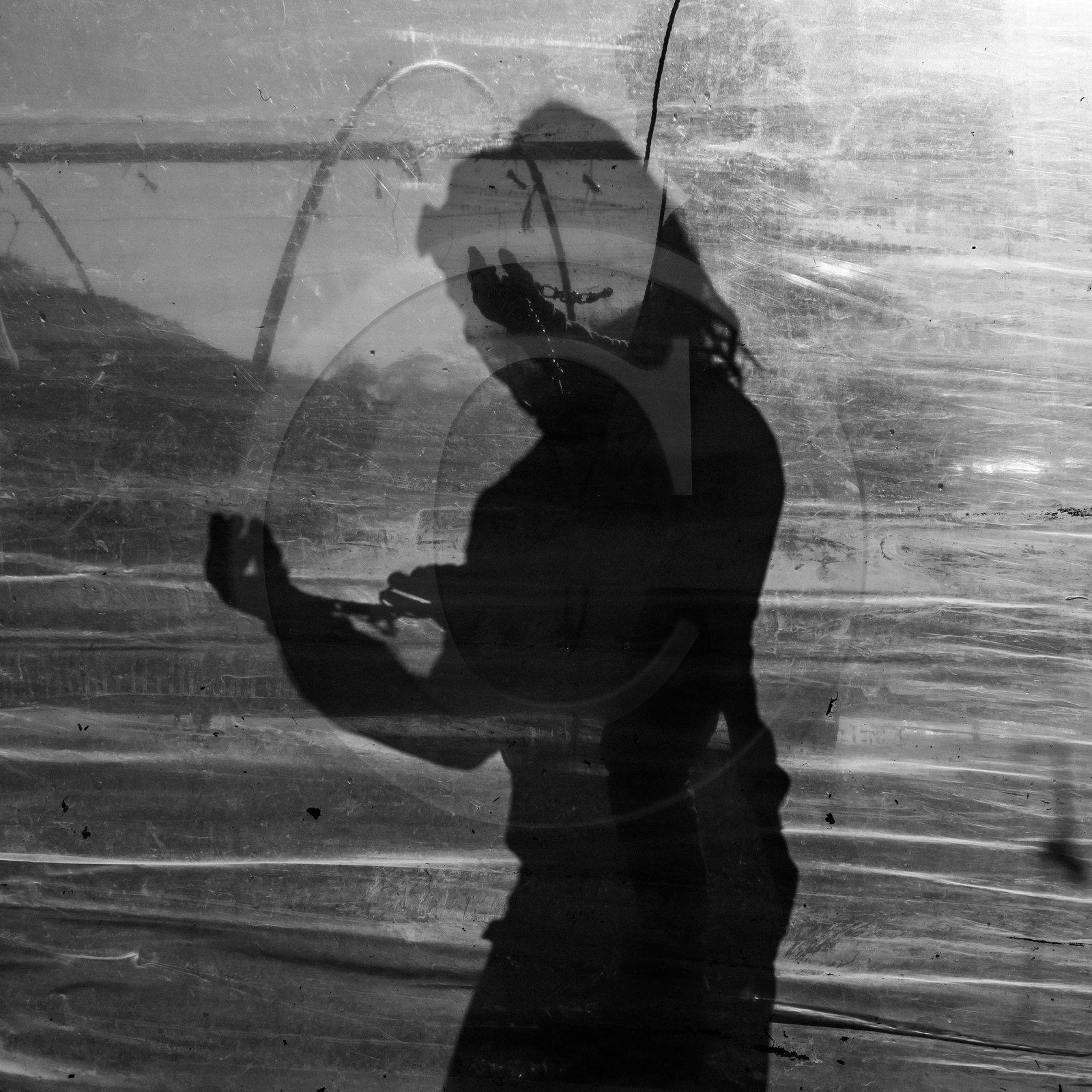 Montage de serres tunnel