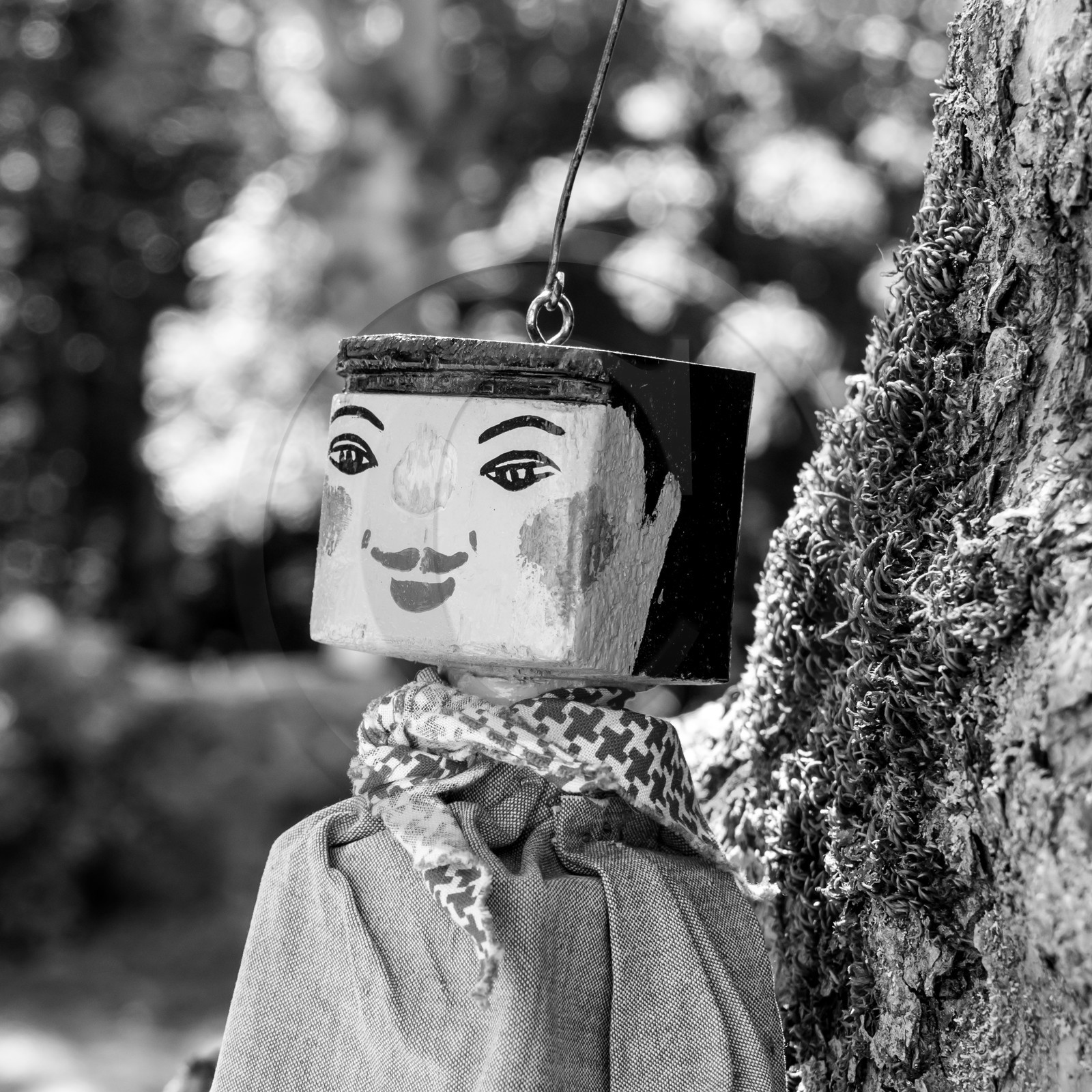 05 juillet 2017 - Installation épouvantails