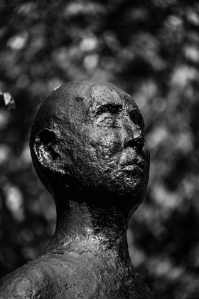 Exposition La forêt d'hommes, une création de Barbara Fougnon, artiste plasticienne